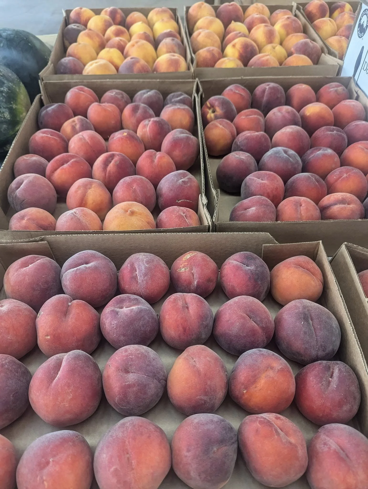 Multiple boxes of peaches at Pine's Garden & Market. 