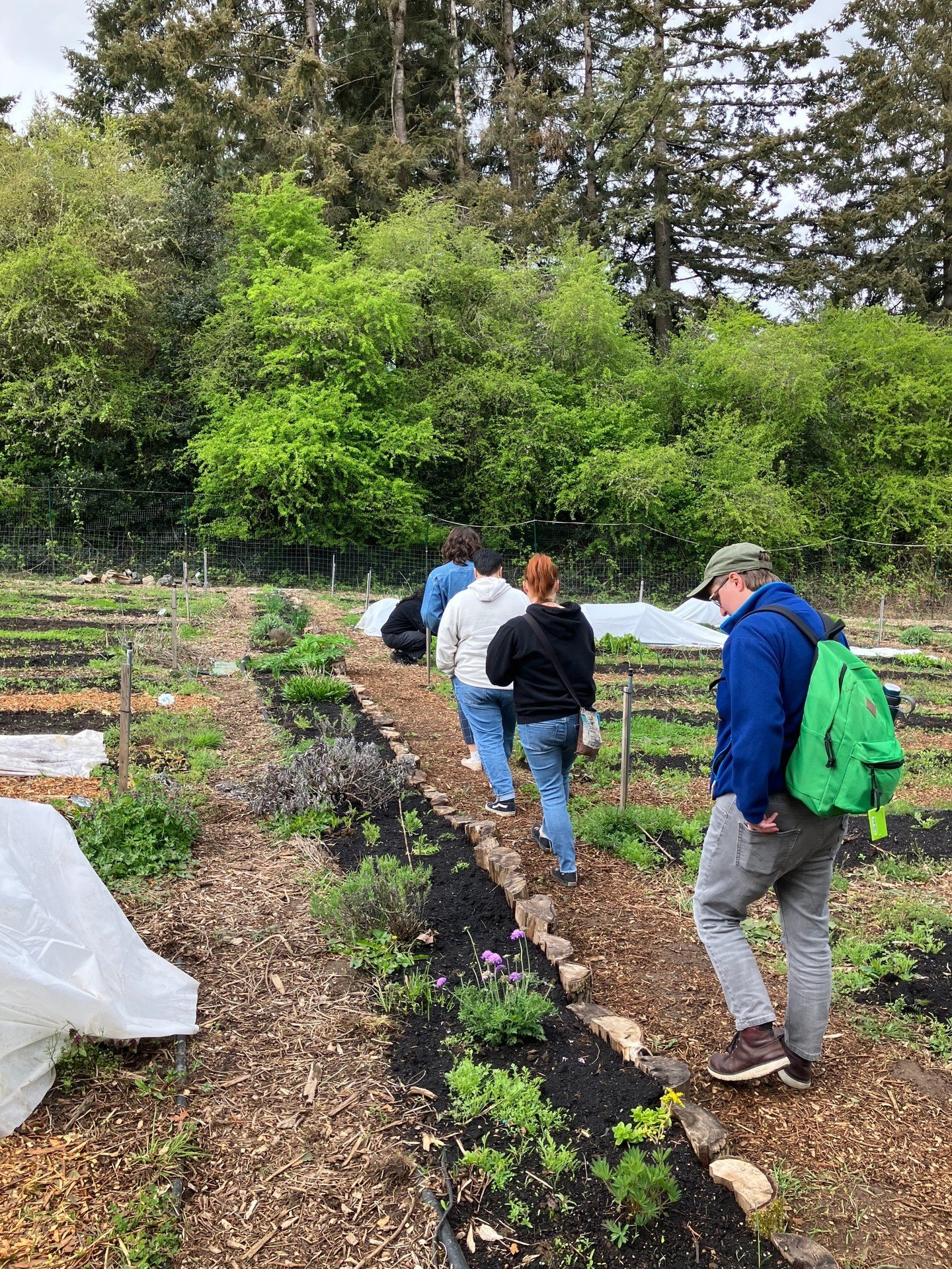 Exciting news! Our Community Education team recently #YouthEngagement #SummerProgramming #YouthEmpowerment completed a successful tour with @KindnessFarm, solidifying a promising partnership for engaging youth in our summer programming. Stay tuned fo