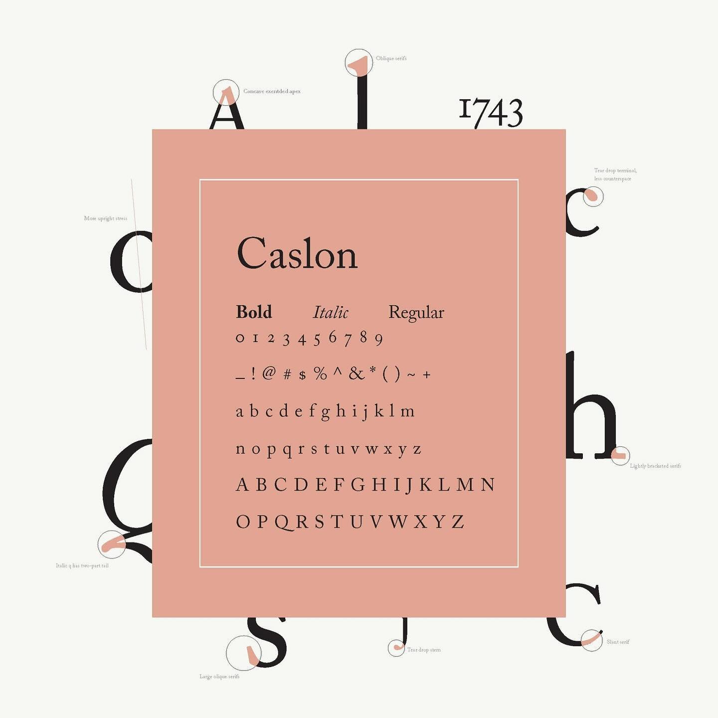 My portfolio journey began with my very first project&mdash;a venture I still cherish deeply because it taught me and ignited my passion for typesetting.

&gt;&gt;Deconstructing Typification 

[Objective] In this project, I scrutinized the anatomy of