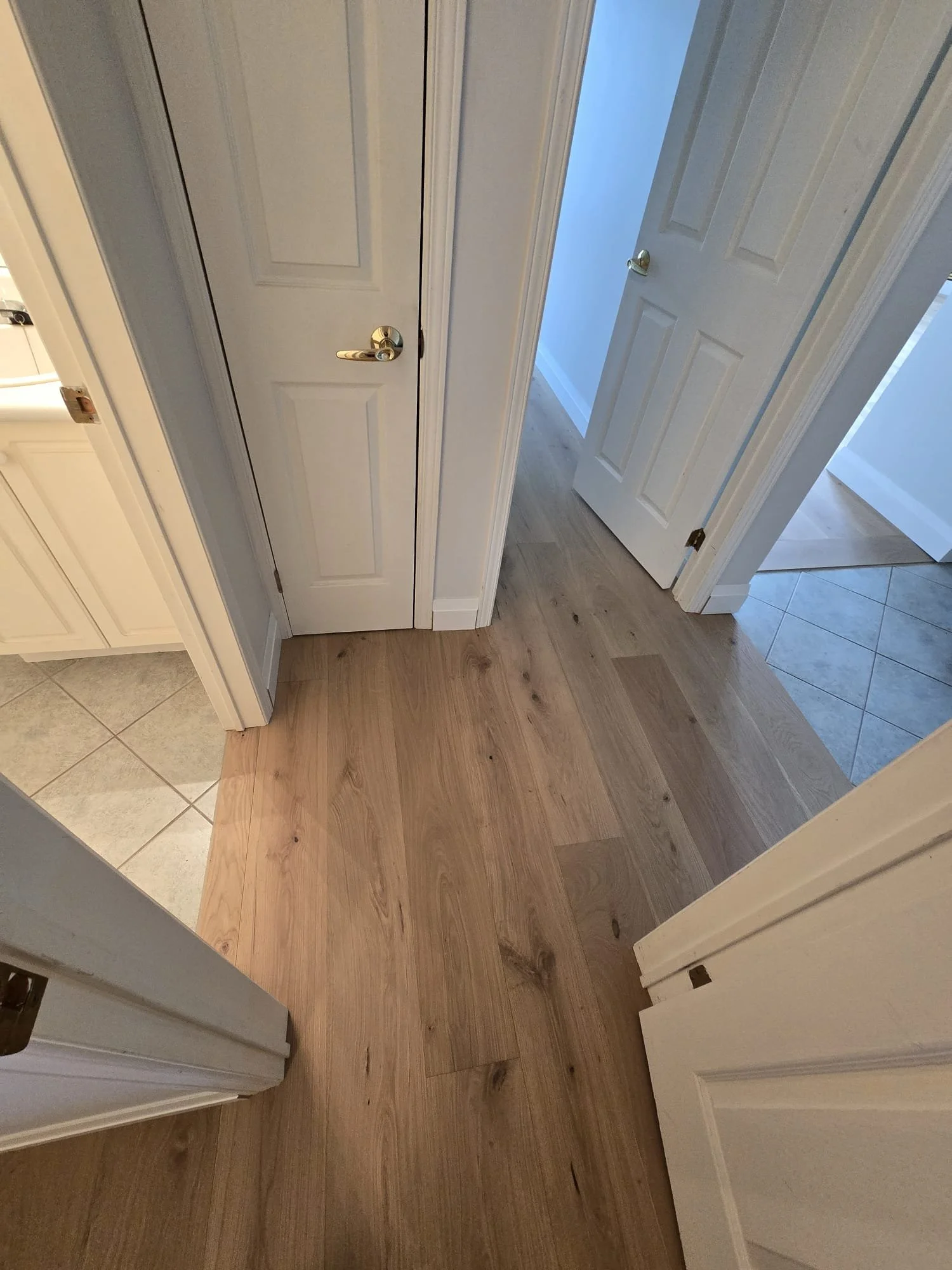 Hardwood Transitions.jpeg
