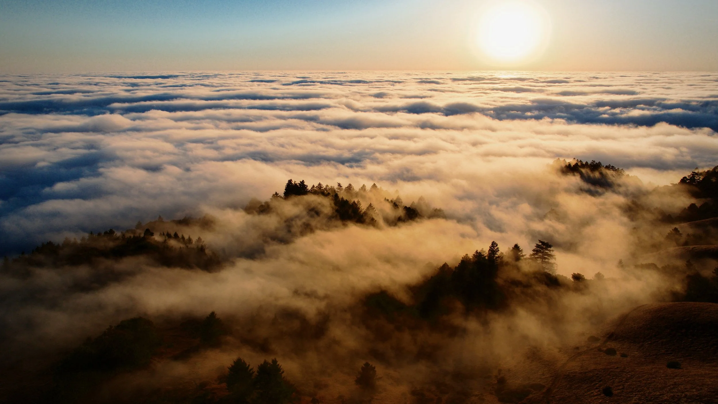 Mount Tam Clouds