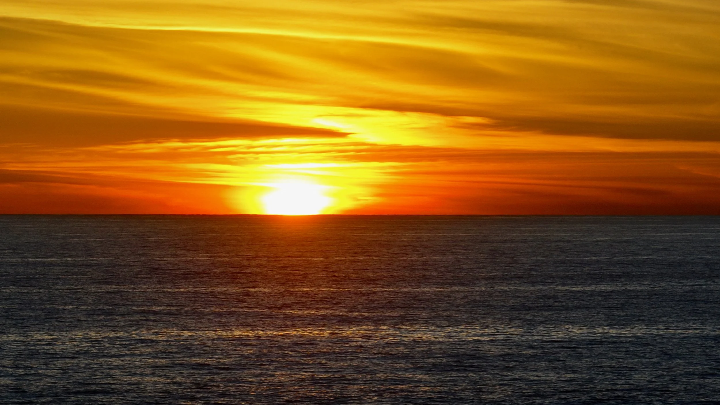 Santa Cruz/Pacifica_5