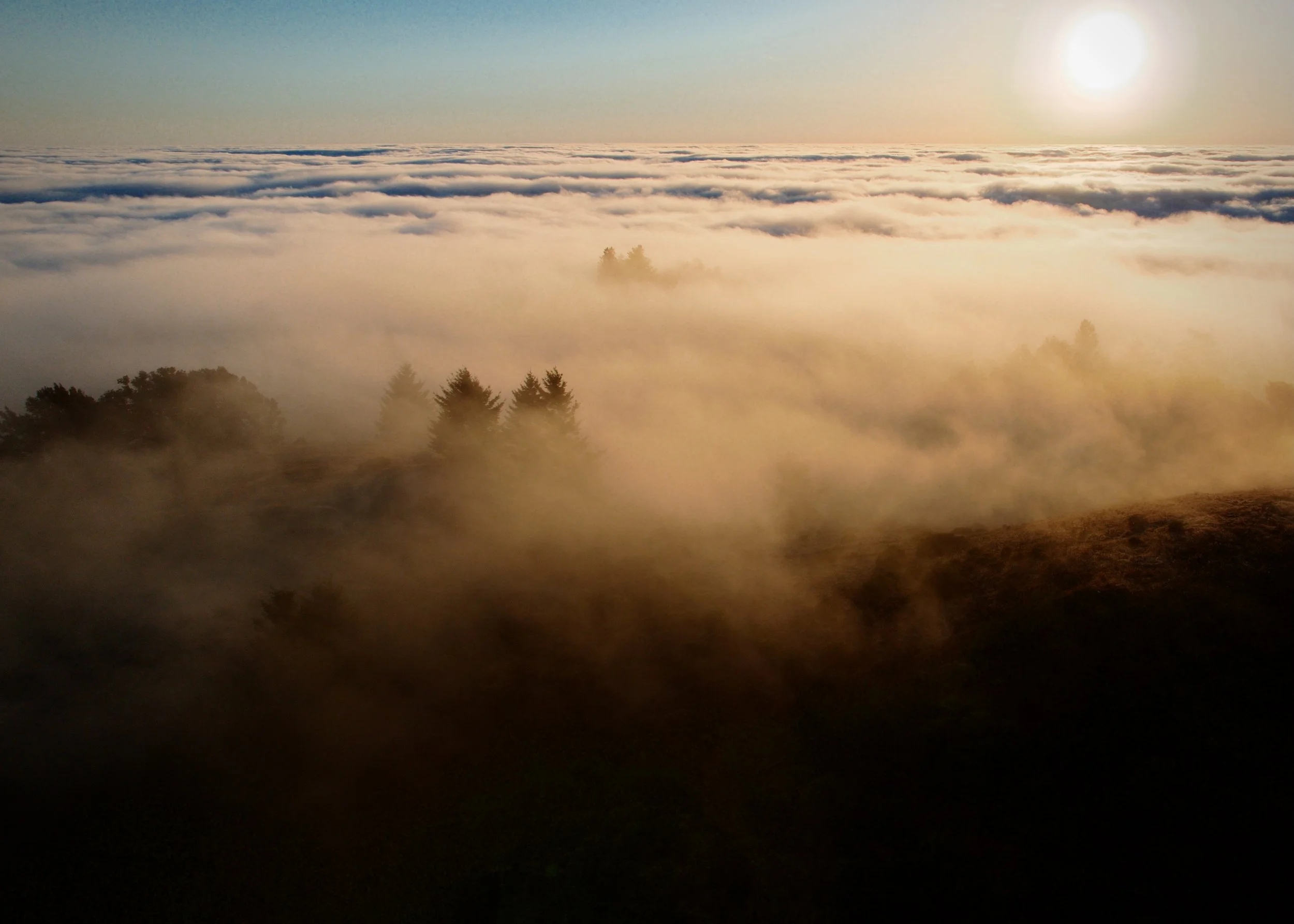 Mount Tam Clouds 2