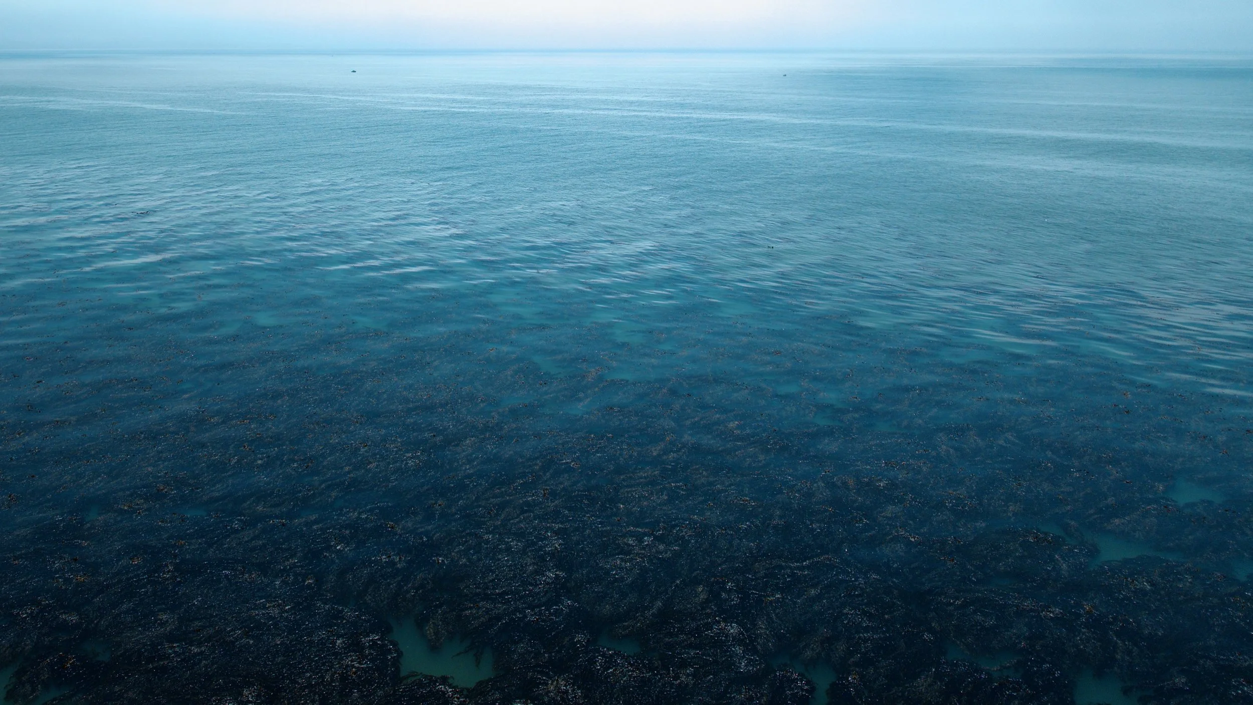 Santa Cruz/Pacifica_2