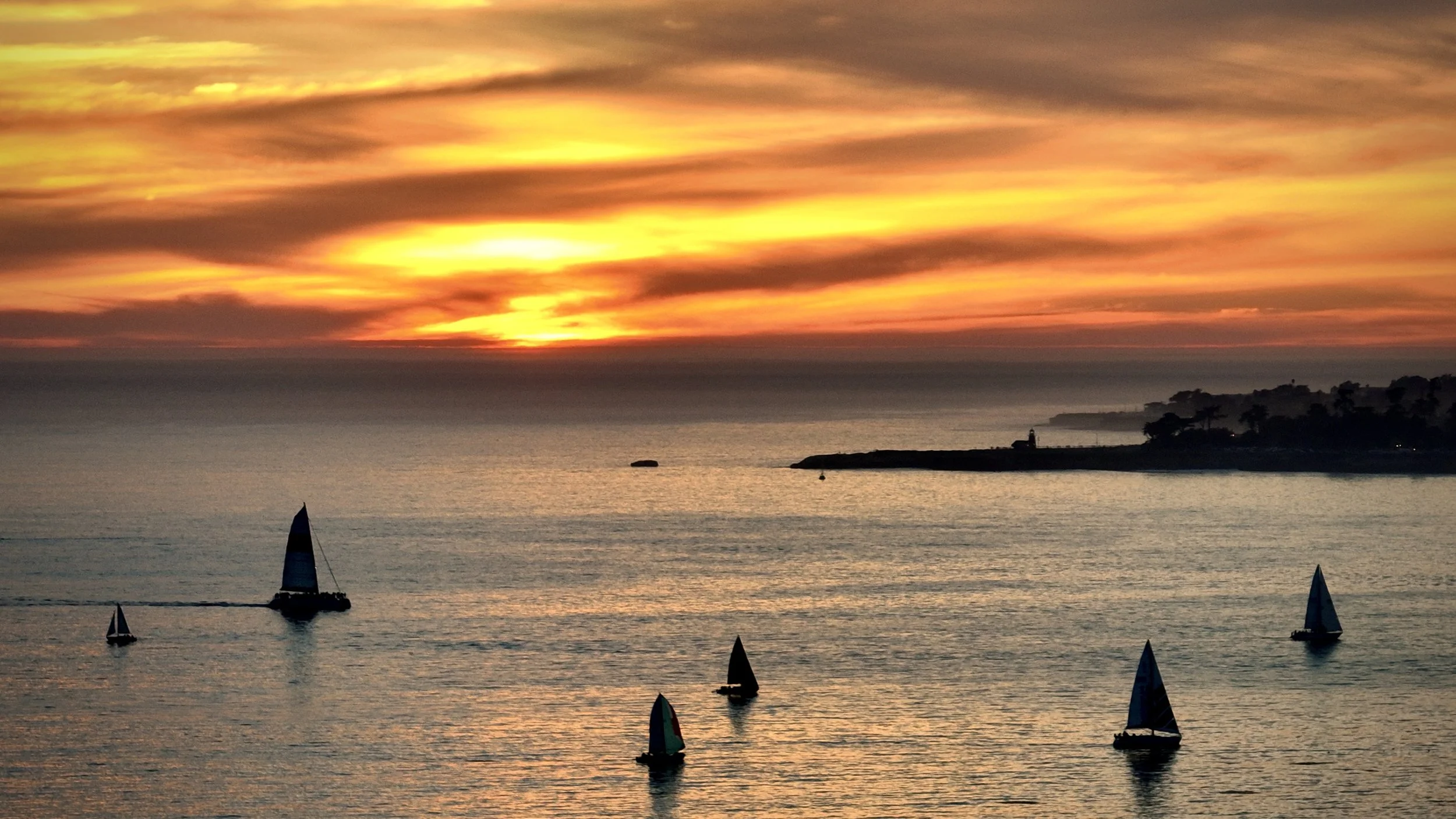 Santa Cruz Sailboats 2