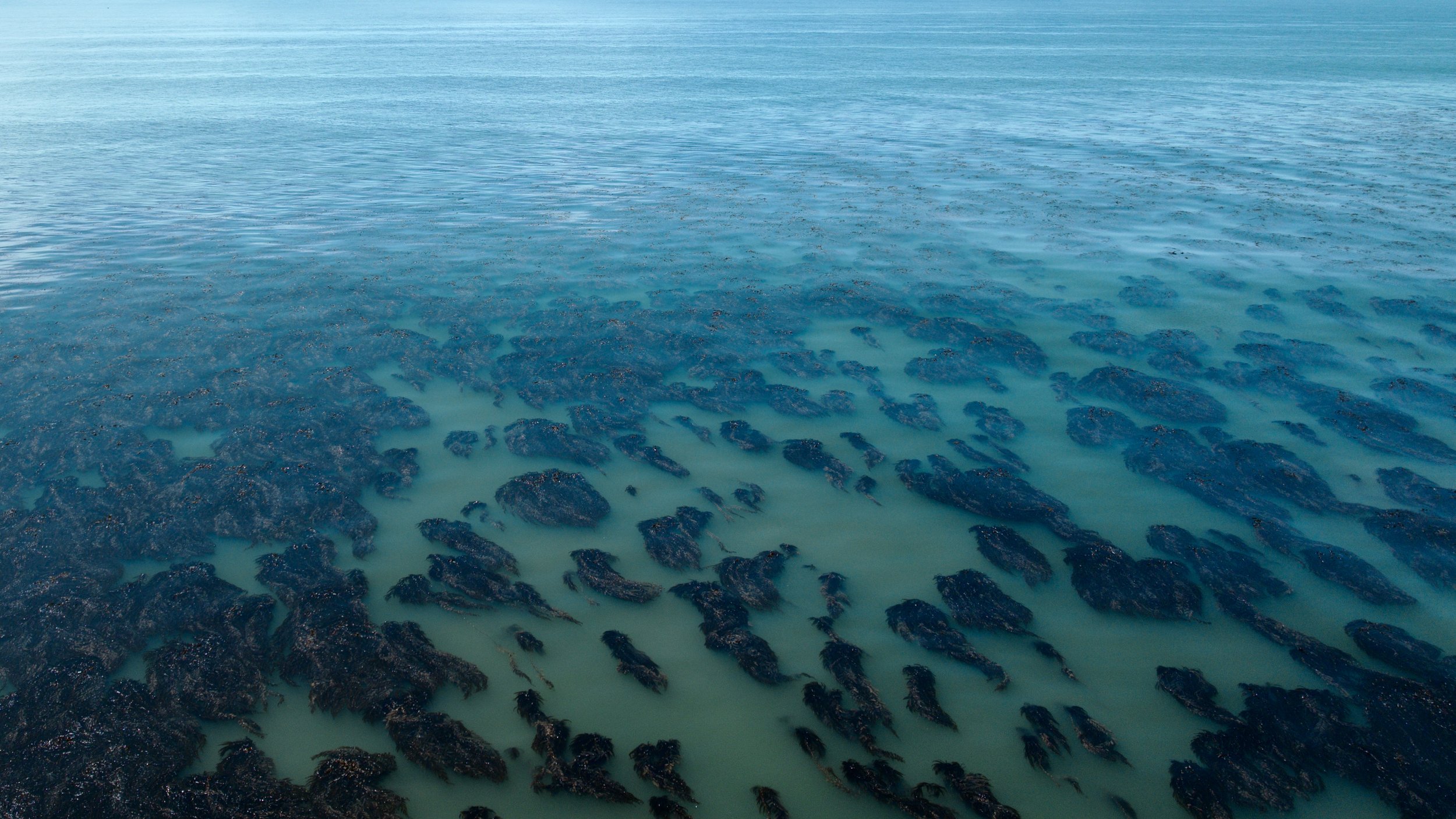 Santa Cruz/Pacifica_3