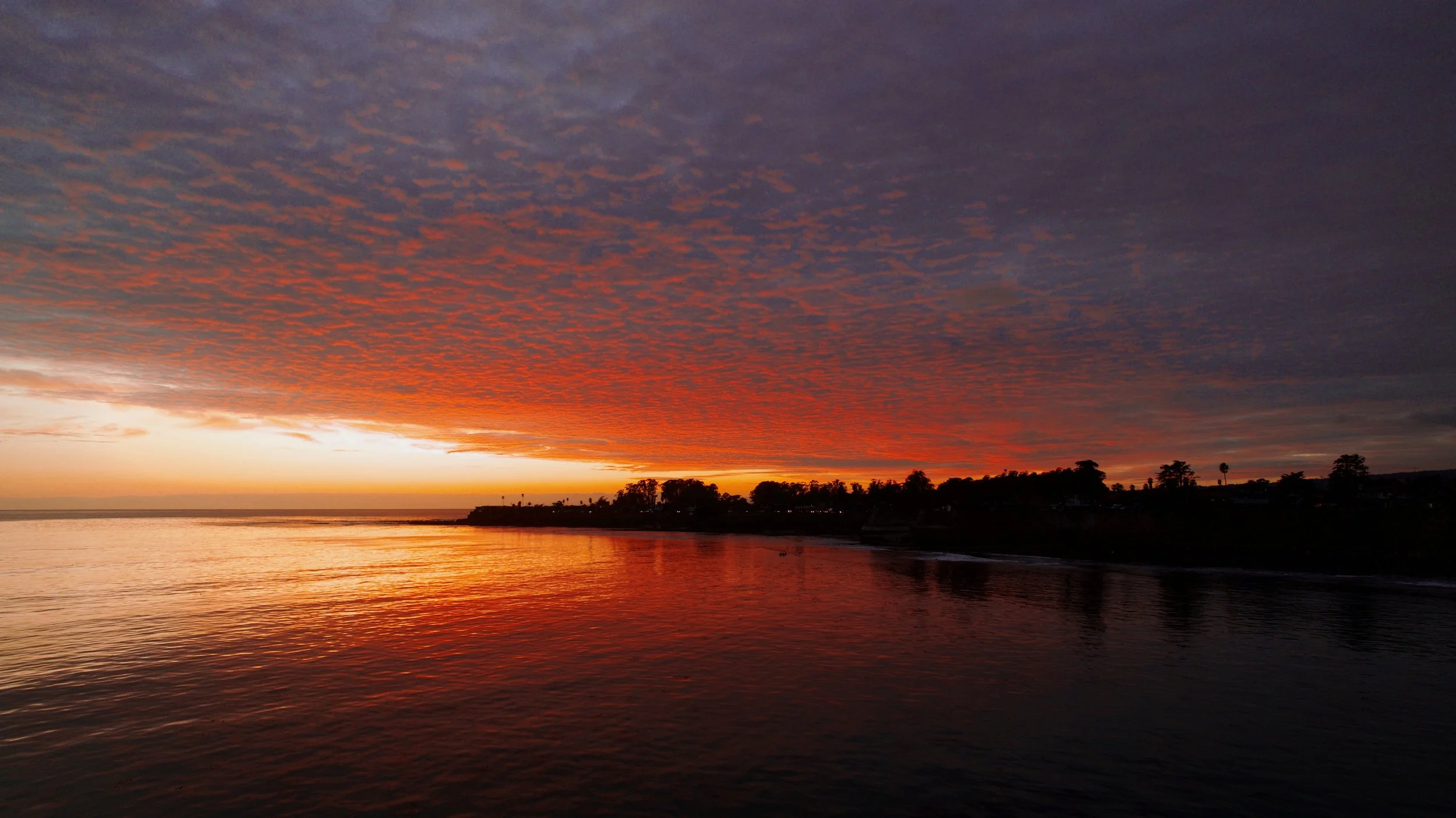 Santa Cruz/Pacifica_23