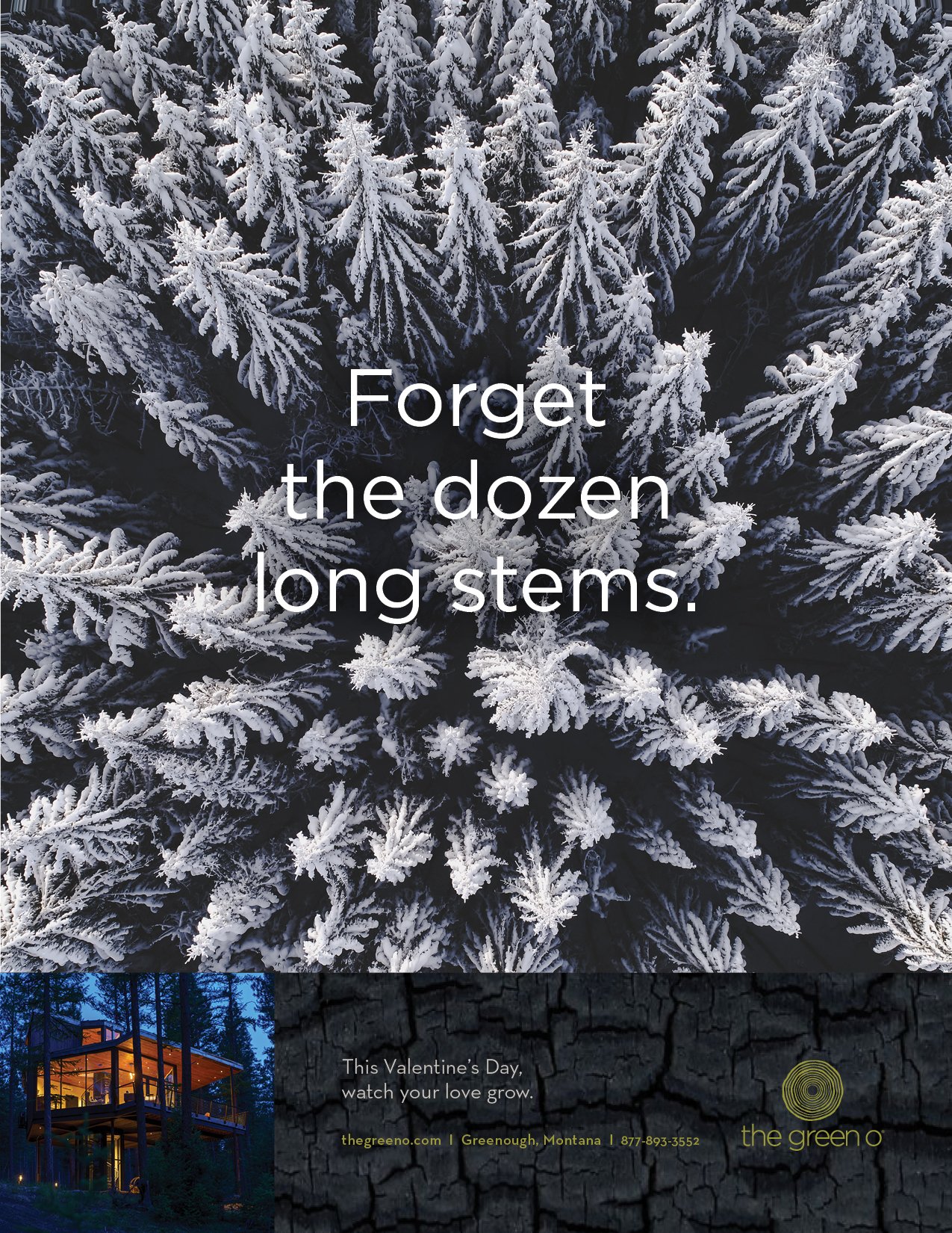 TGO_Dozen Long Stems_white_Print.jpg