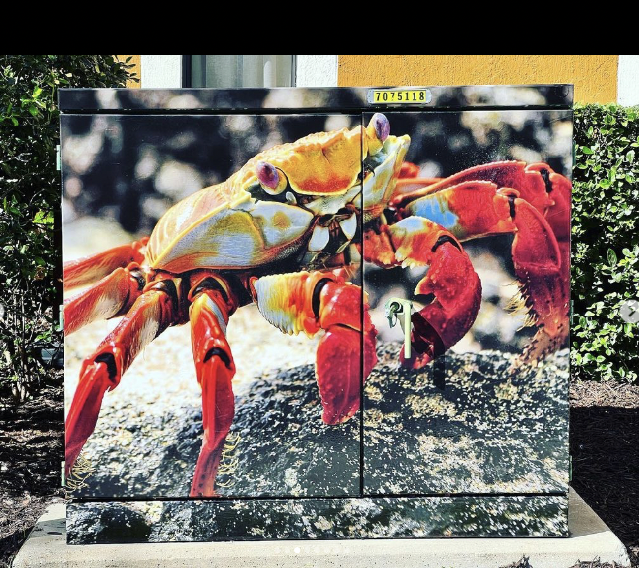 Screen Shot 2023-10-13 at 12.48.07 PM.png