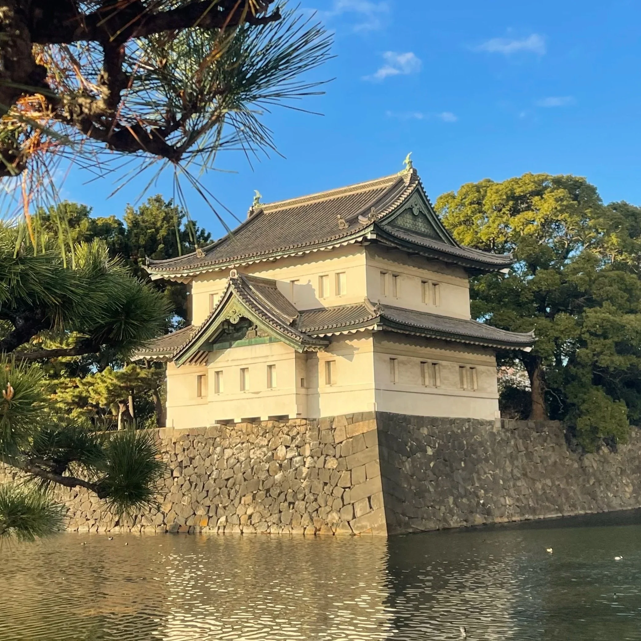 What Leadership Looks Like in Hard Seasons