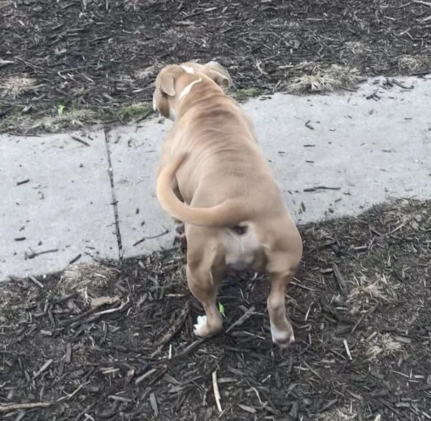 Mom Cordelia Diamond