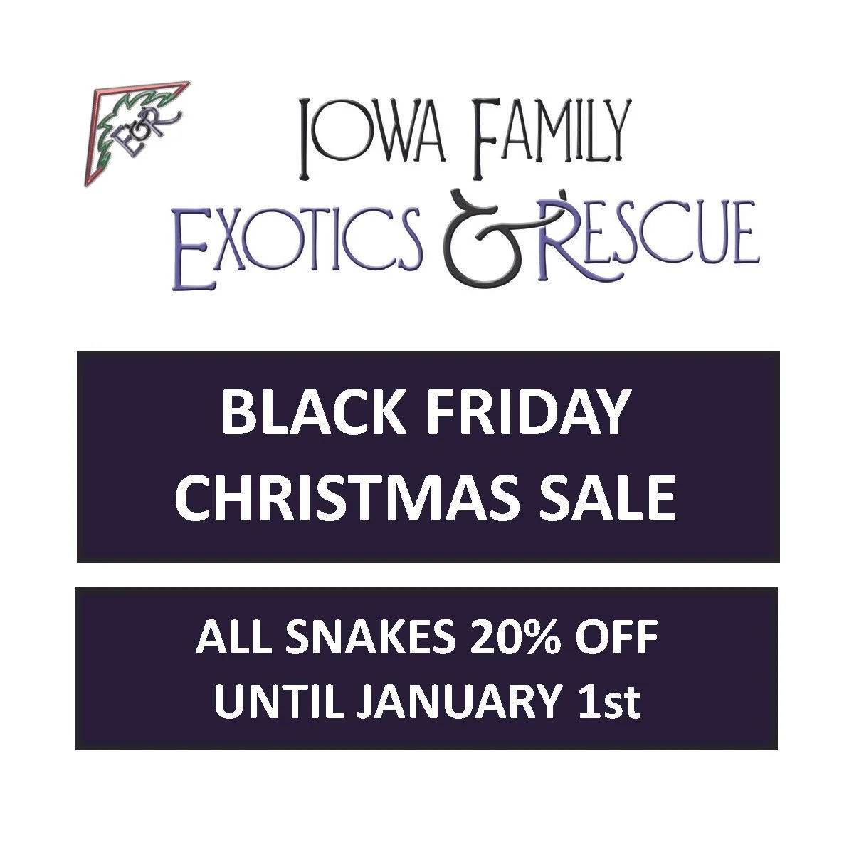 black friday christmas sale image for gallery.jpg