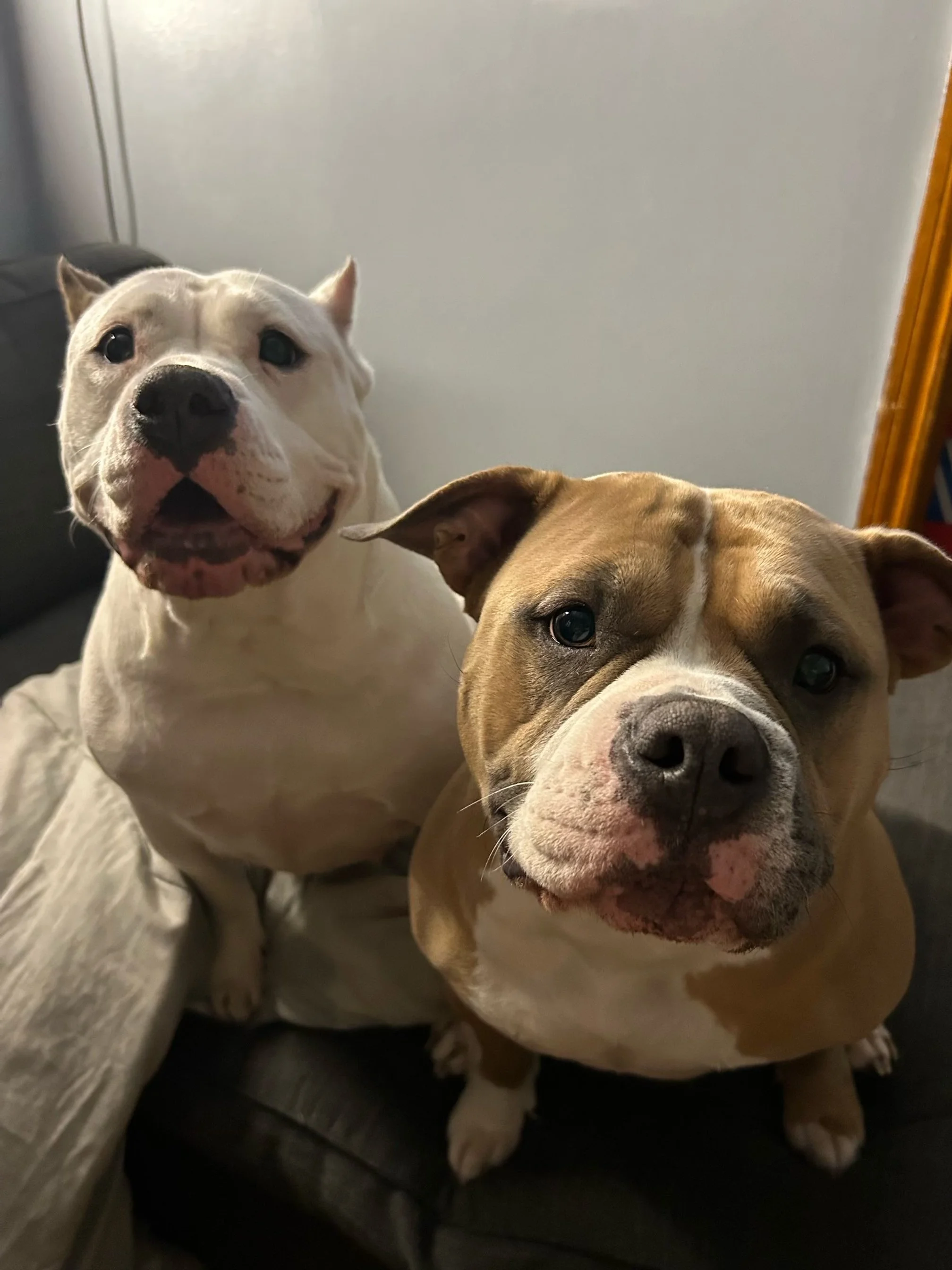 Cordelia's mom and sister