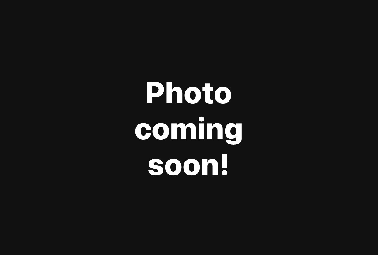 Super Pastel Mojave Yellow Belly Adult female $200