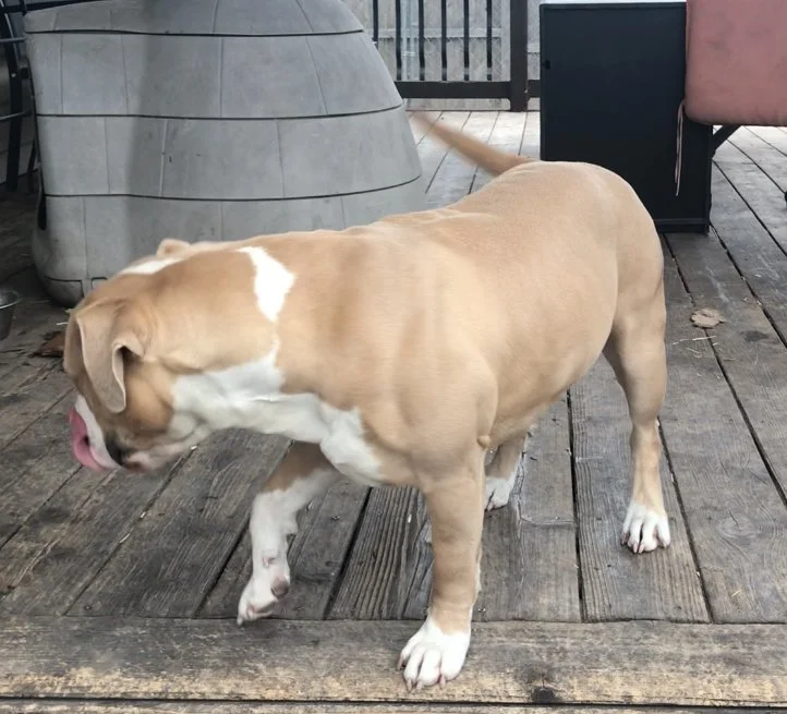 Mom Cordelia Diamond