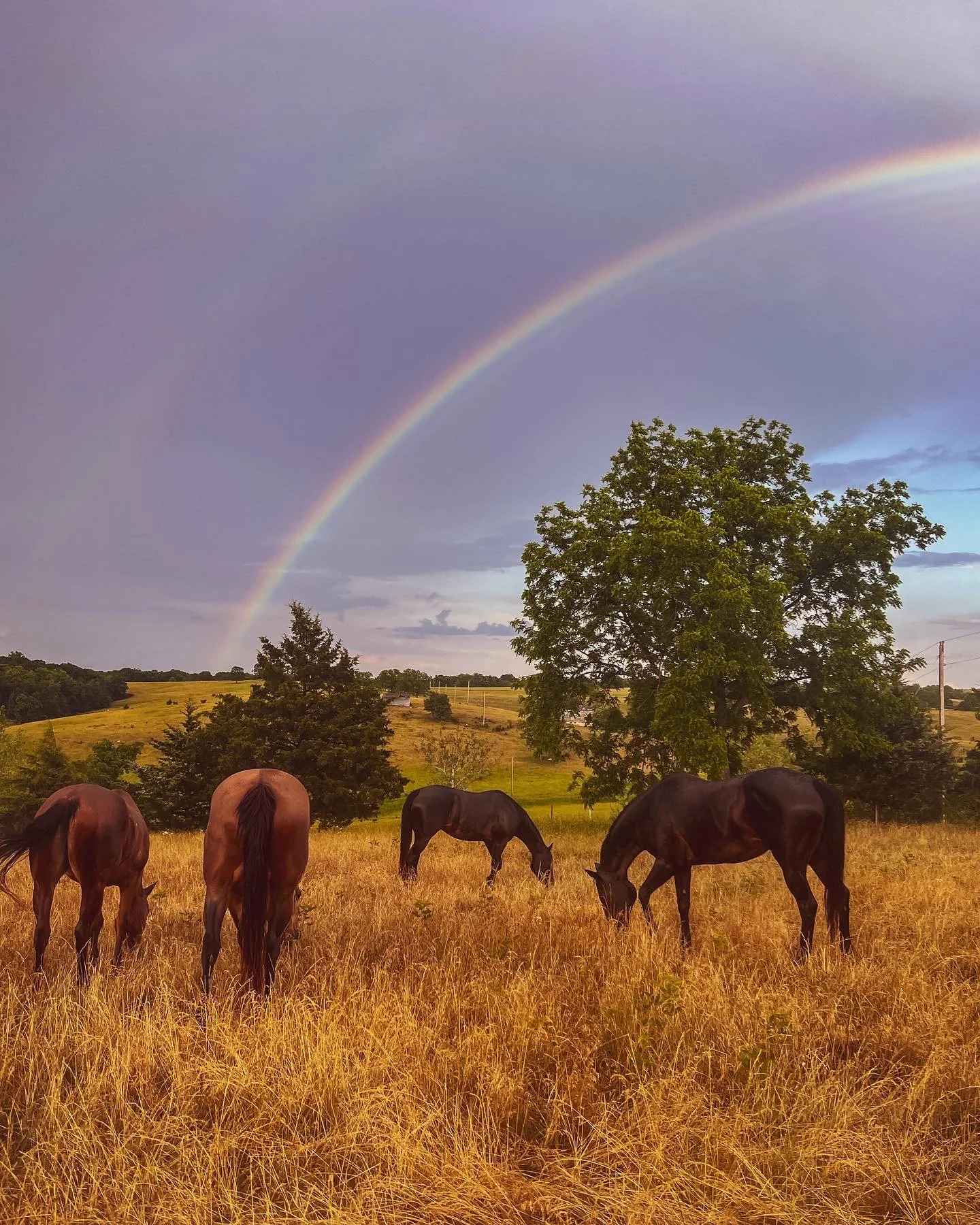 4E84B398-CF61-420A-B3D3-CADEC343F965 (1).JPG