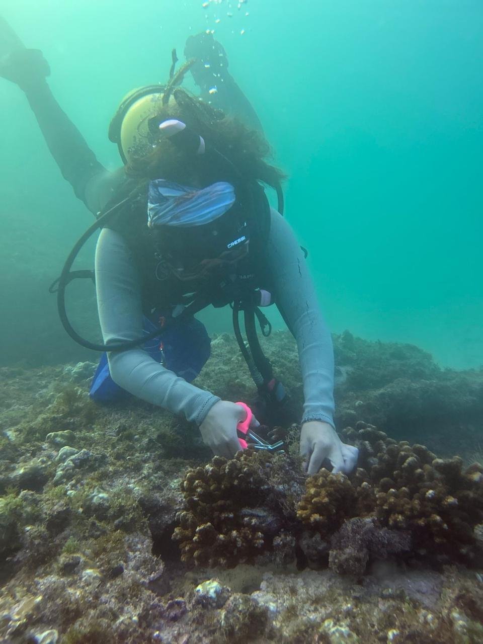 Artes de pesca abandonados-COBI-AHV (30).jpeg