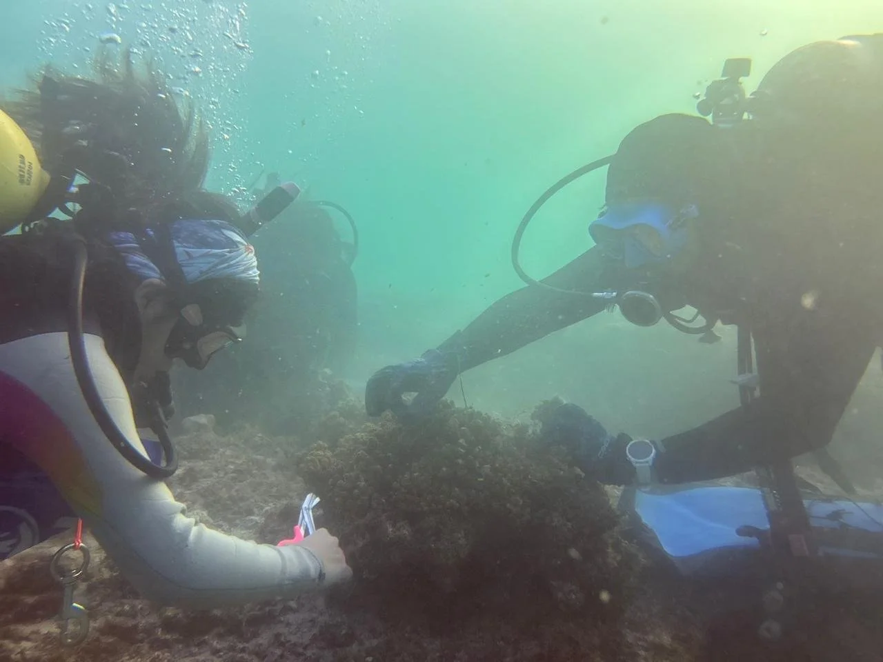 Artes de pesca abandonados-COBI-AHV (33).jpeg
