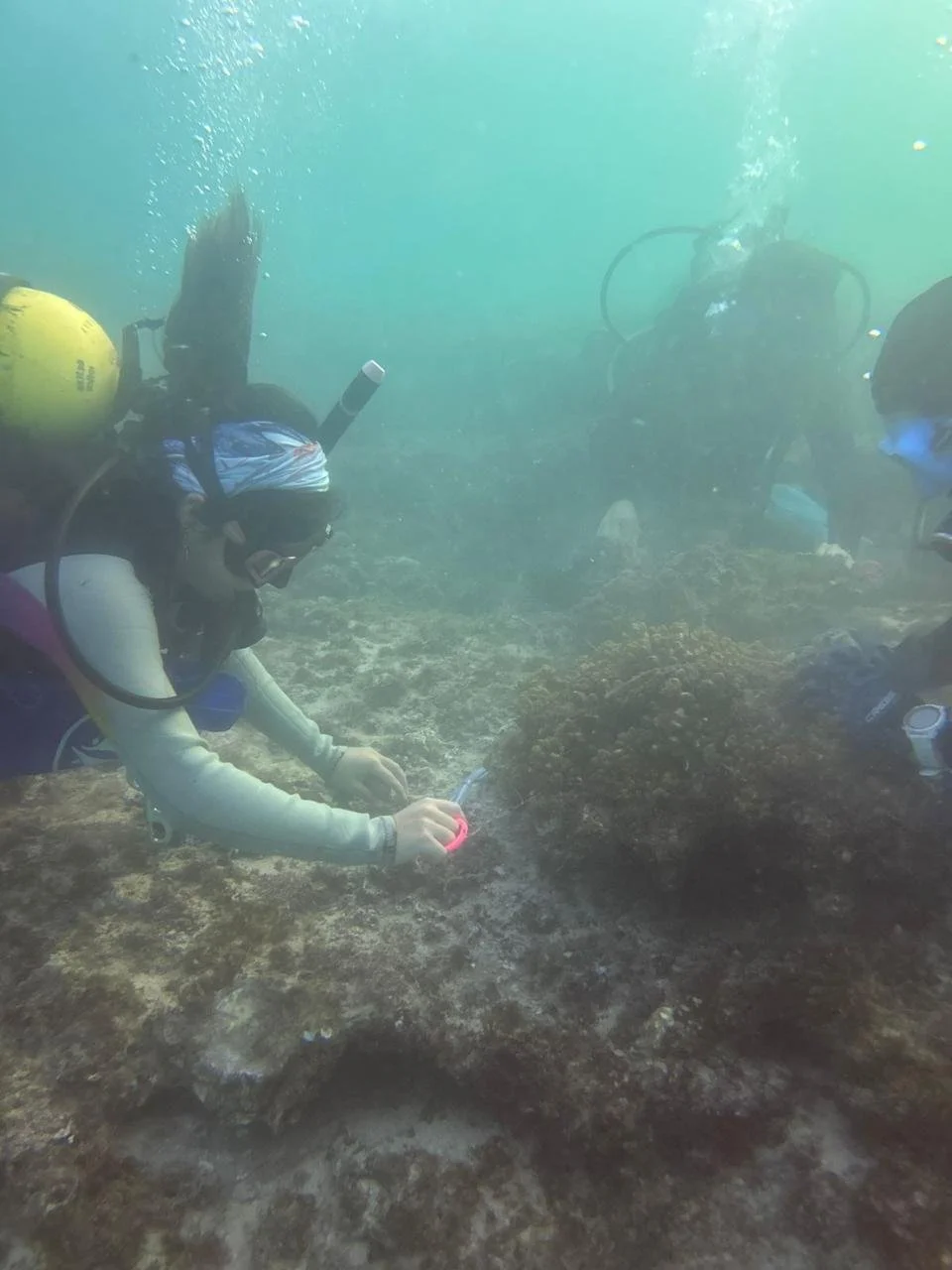 Artes de pesca abandonados-COBI-AHV (37).jpeg