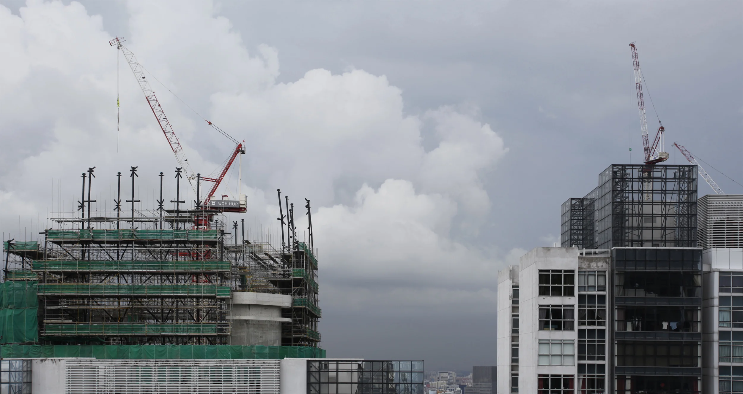 Crane_02.jpg
