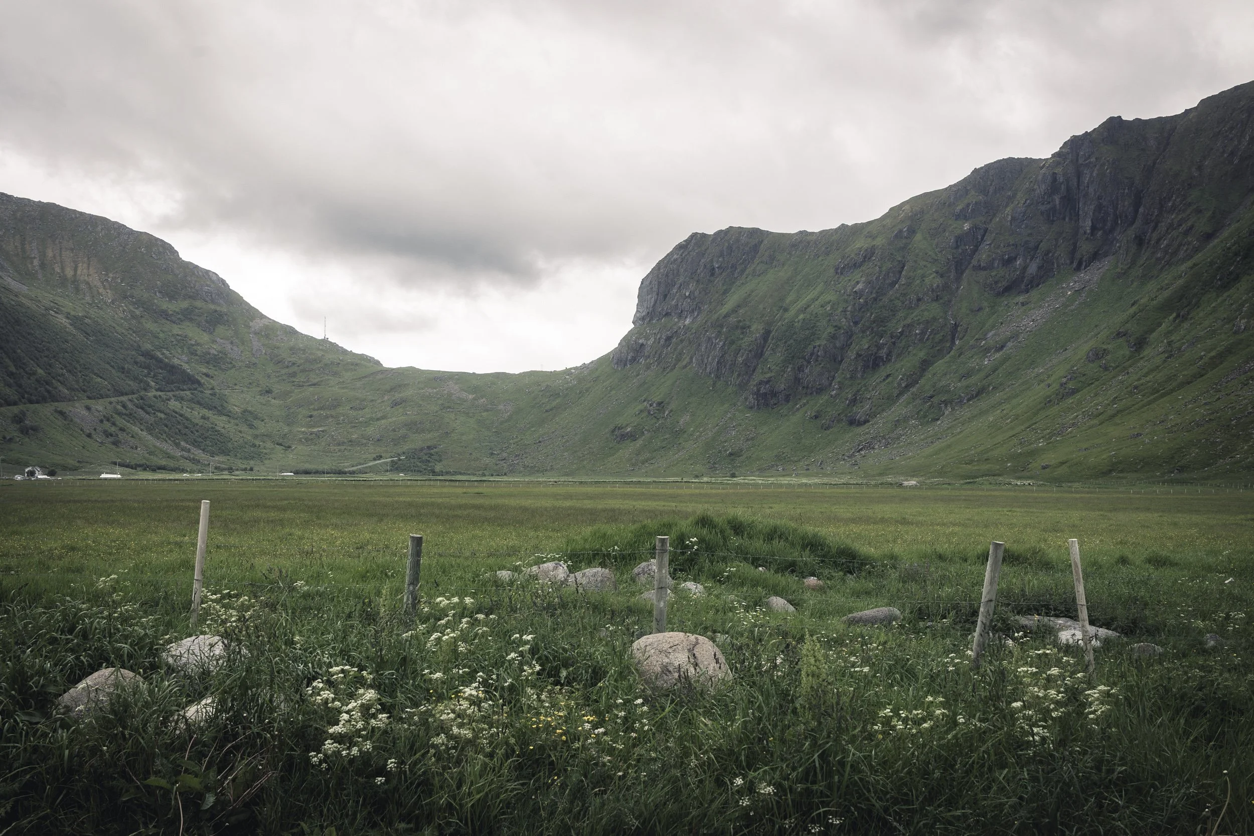 25-lofoten-147.JPG