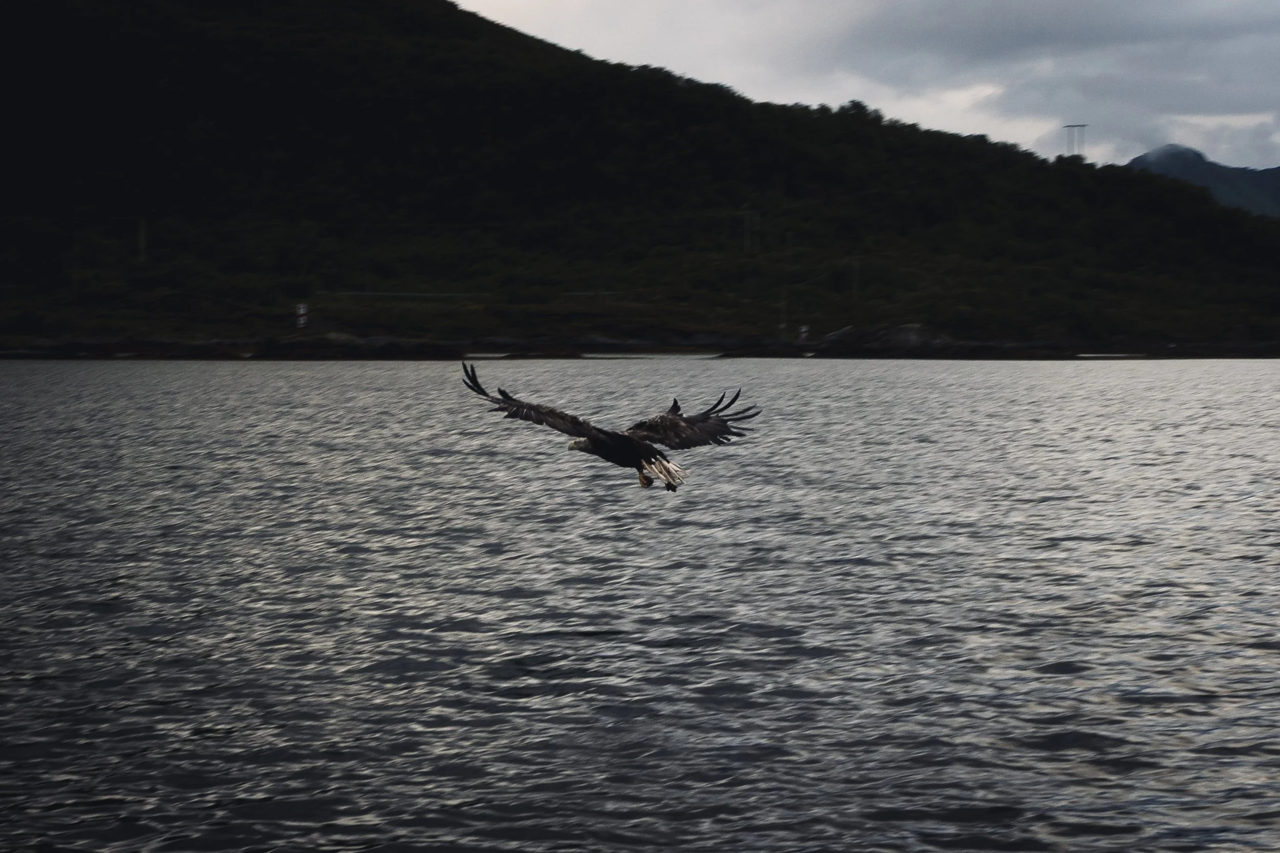 25-lofoten-054.JPG