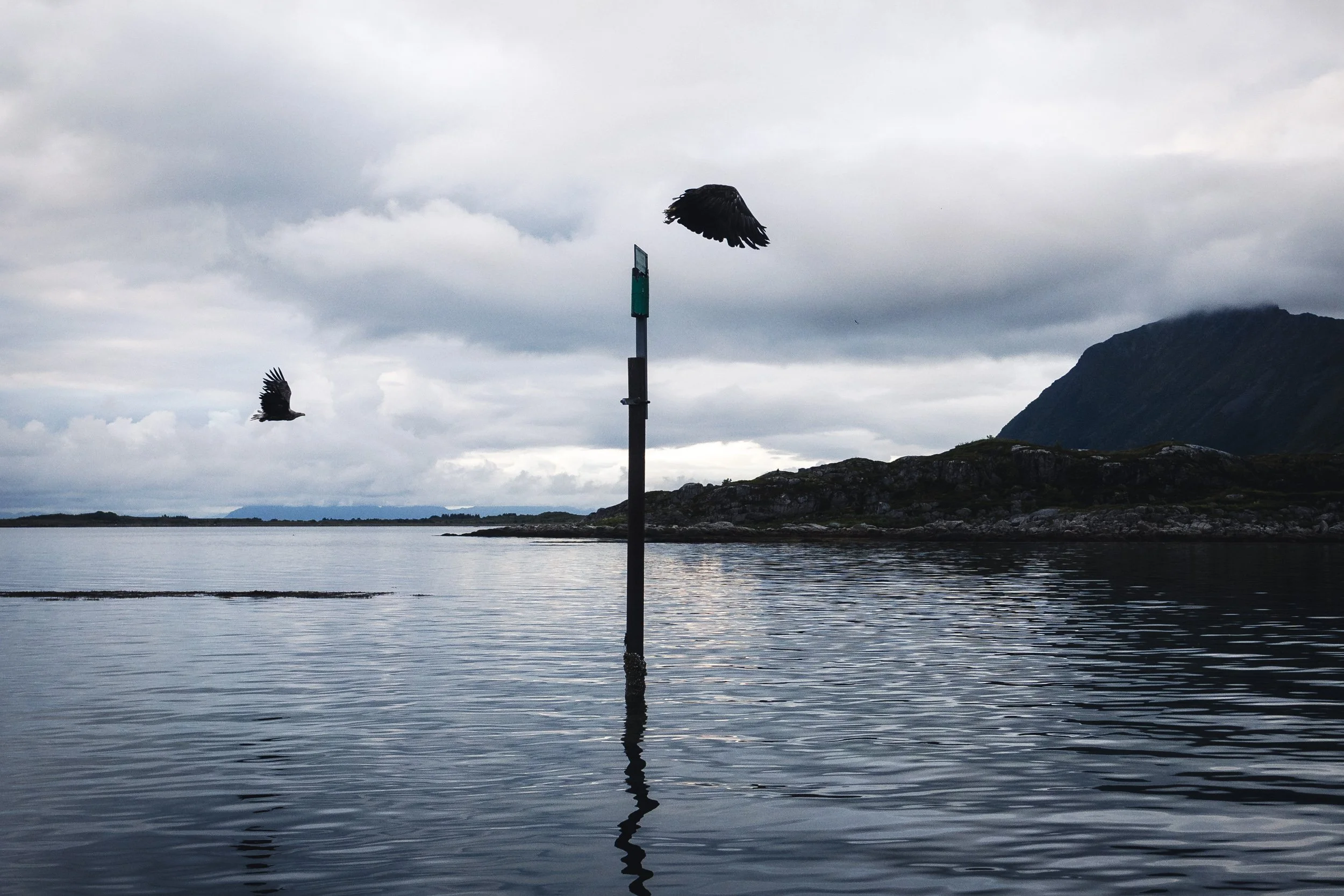 25-lofoten-058.JPG