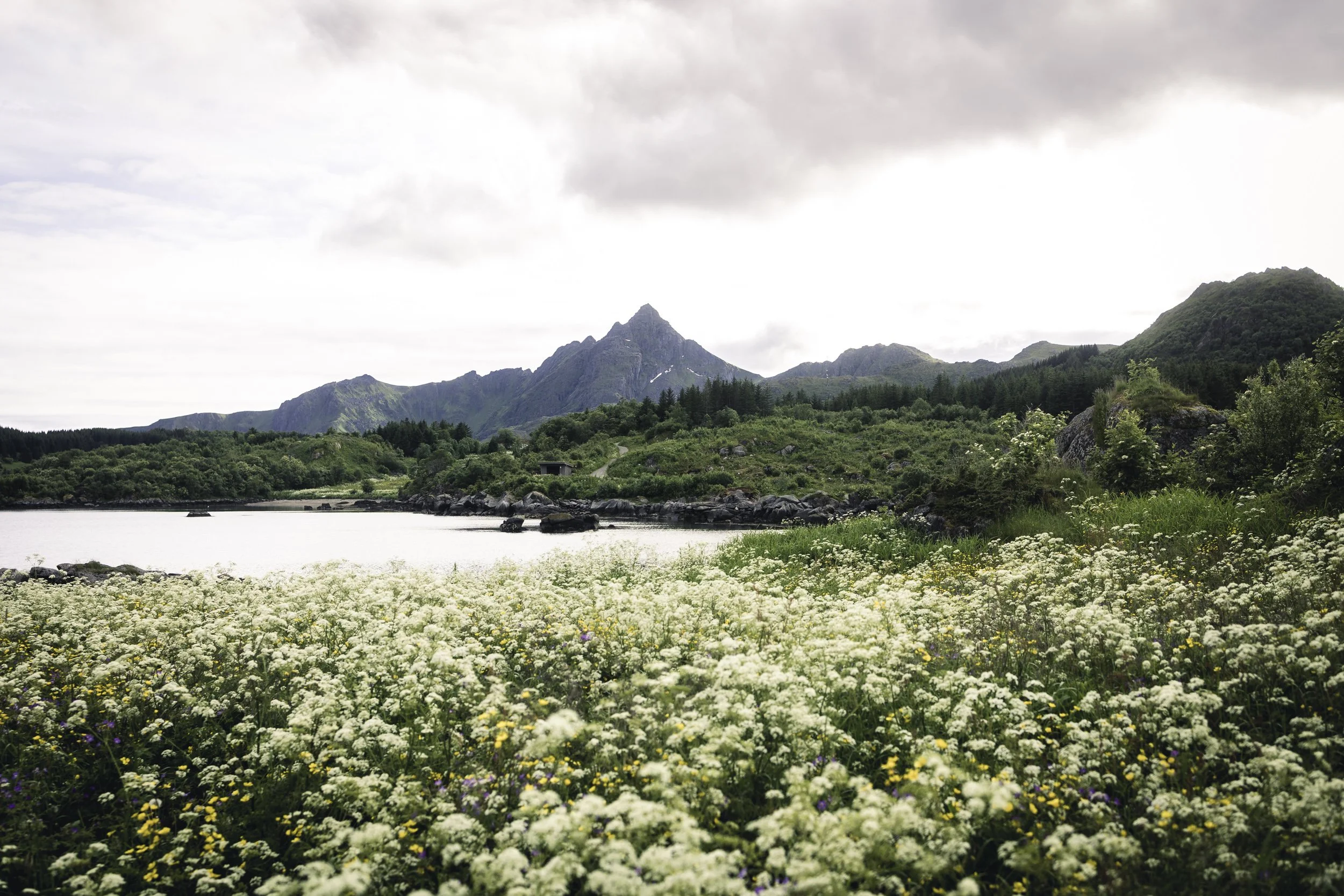 25-lofoten-076.JPG