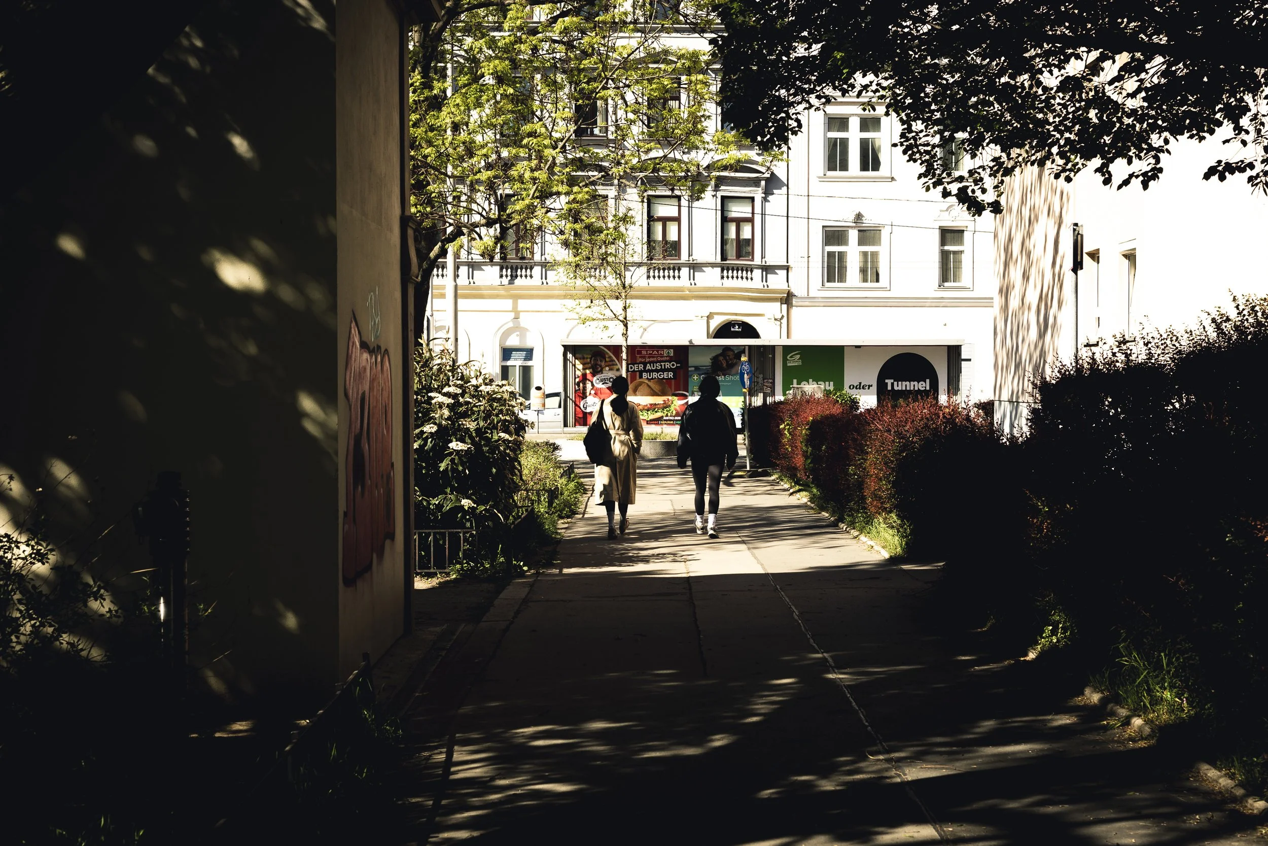 26-wilwalk2404-051.JPG