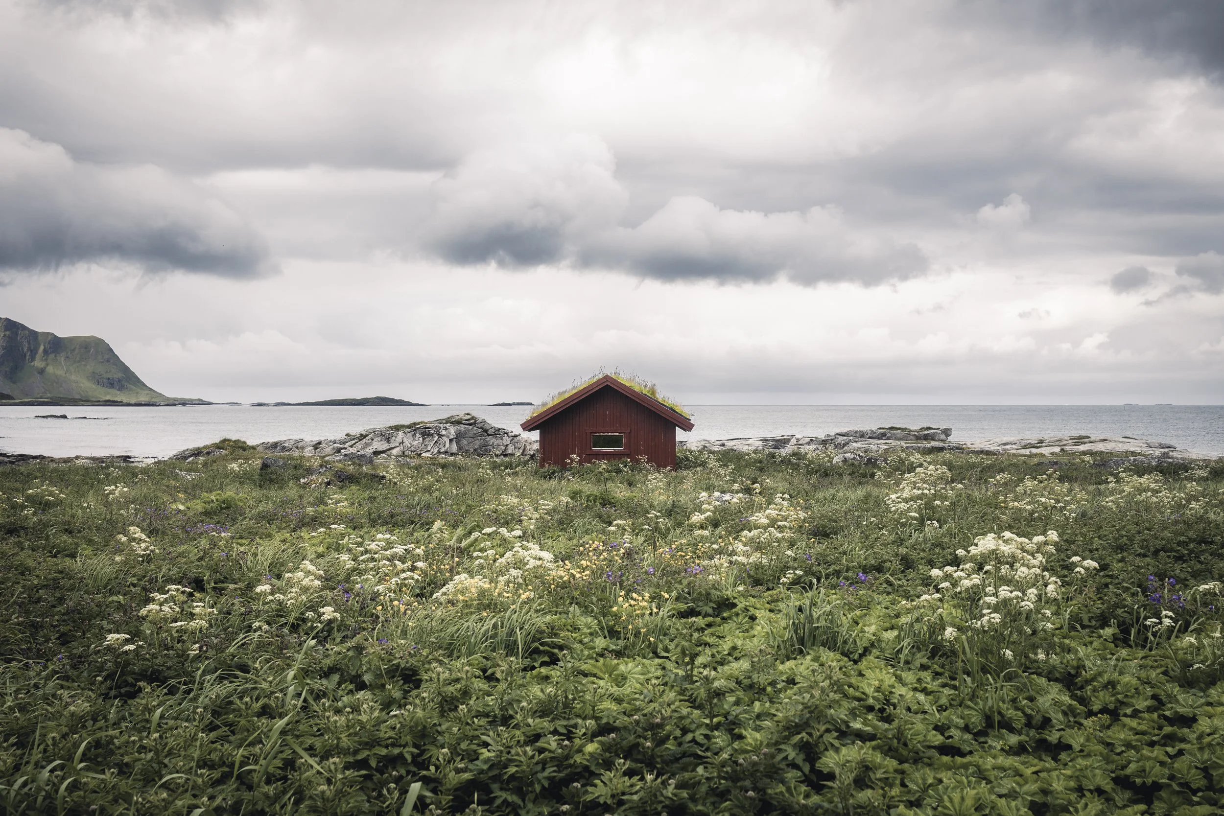 25-lofoten-024.JPG