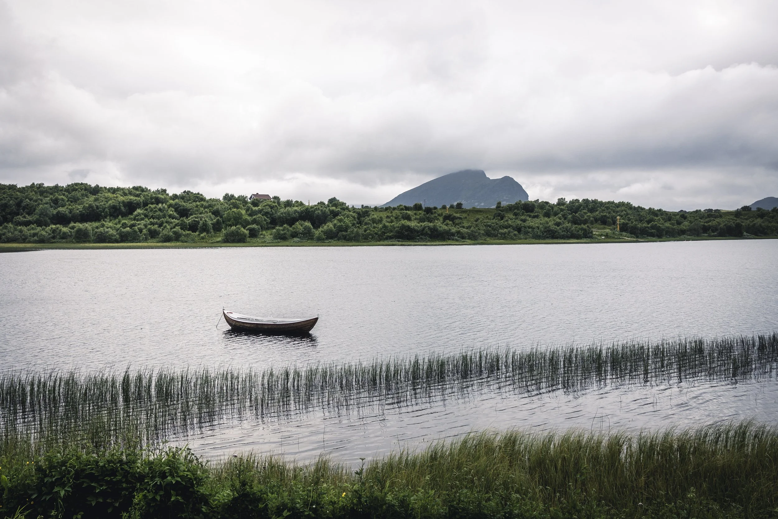 25-lofoten-138.JPG
