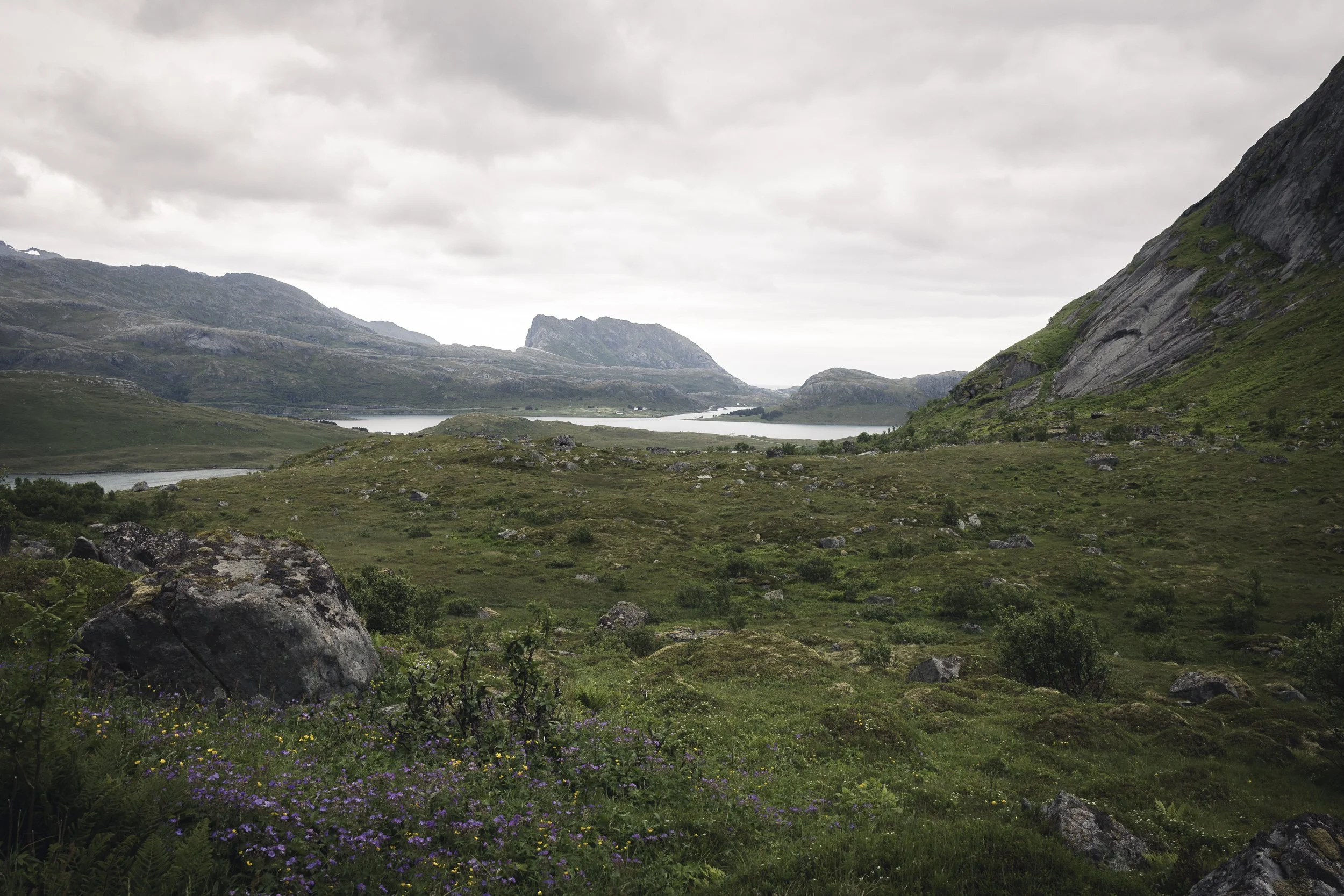25-lofoten-126.JPG