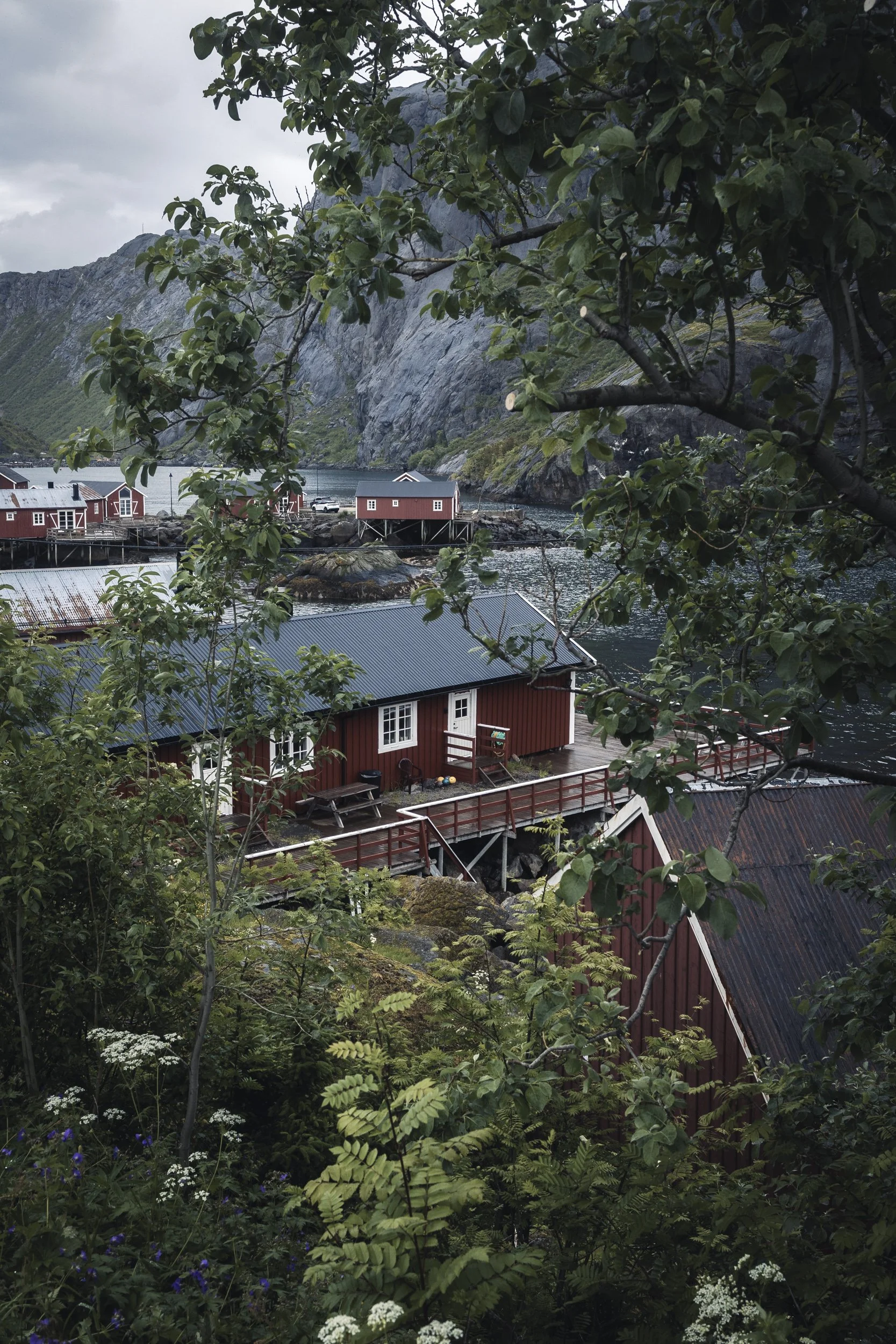25-lofoten-030.JPG