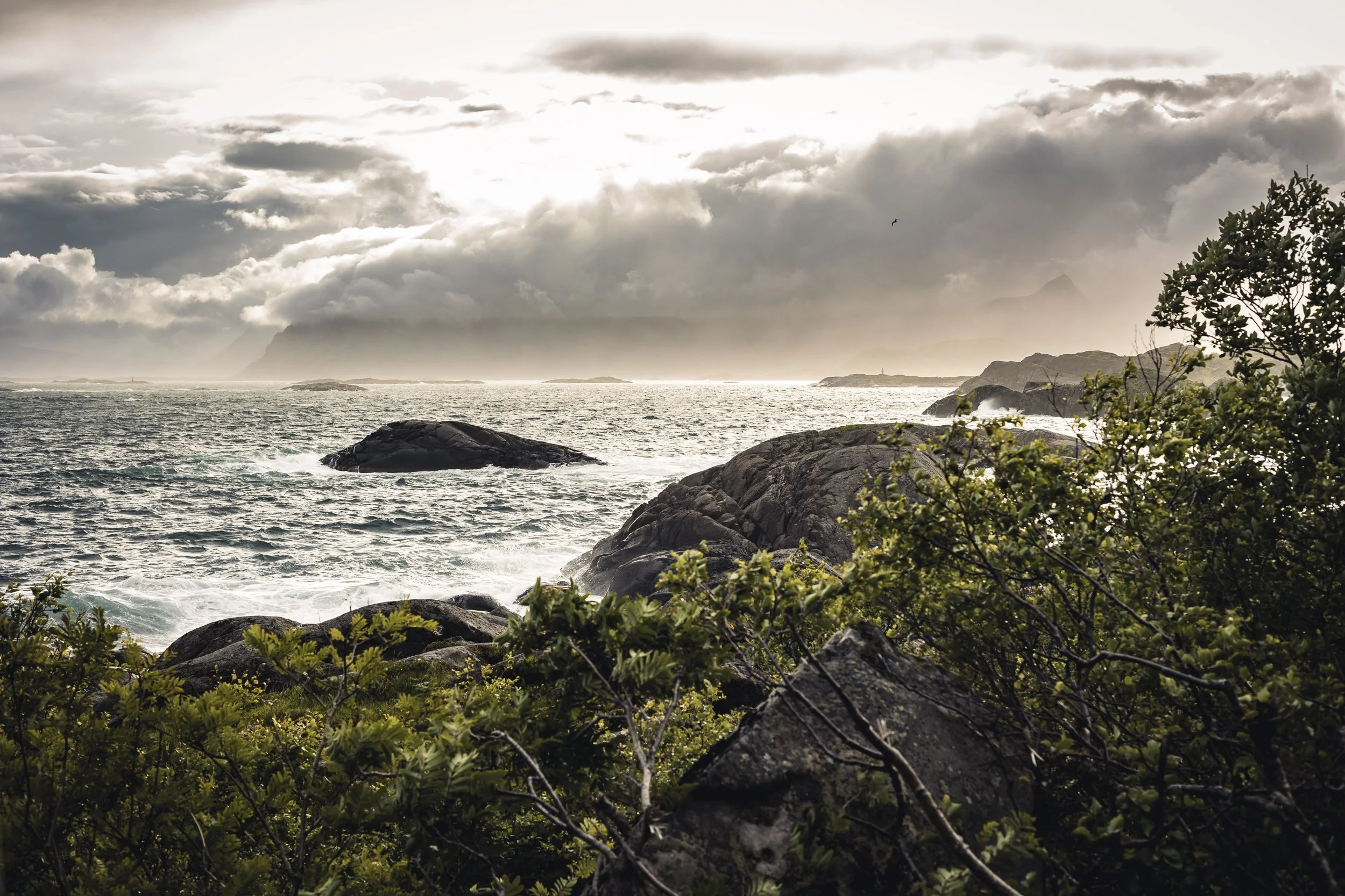 25-lofoten-018.JPG