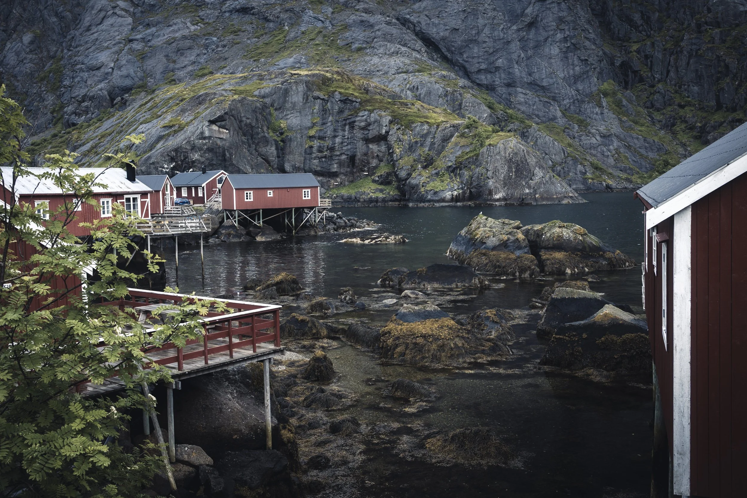 25-lofoten-031.JPG