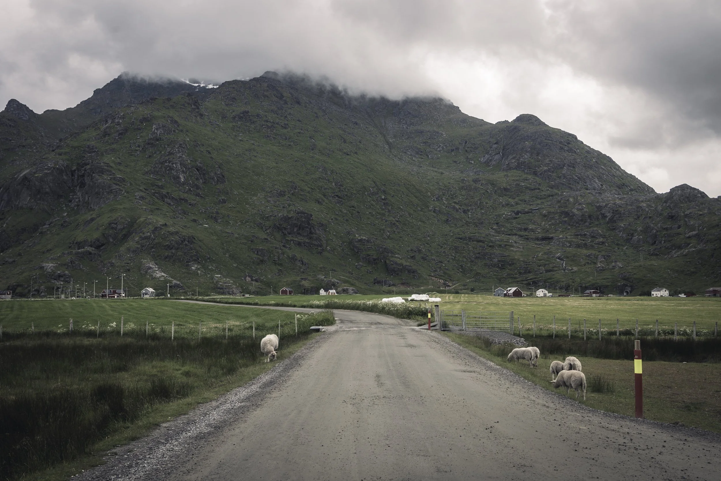 25-lofoten-135.JPG