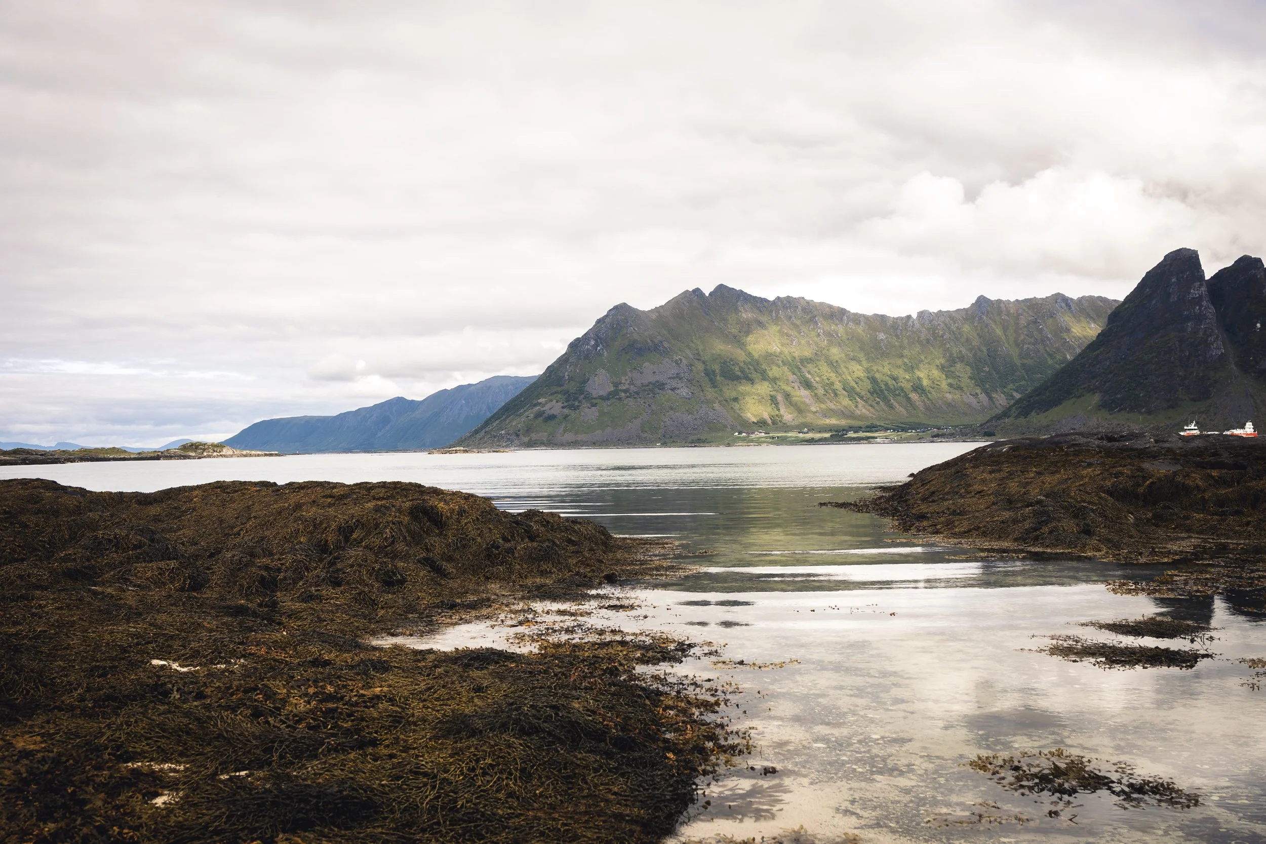 25-lofoten-068.JPG