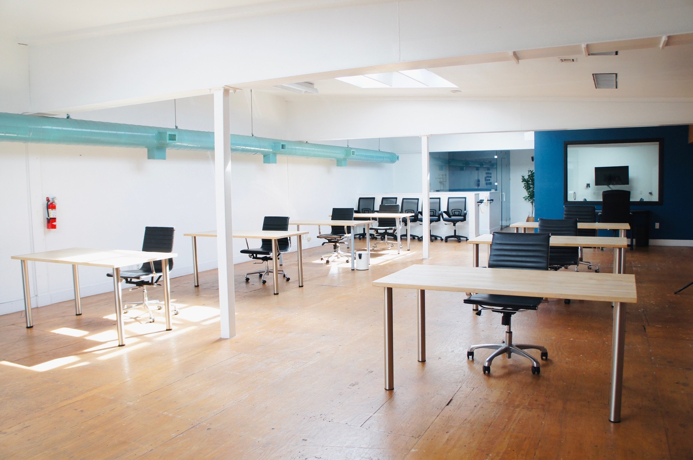 An empty modern office space with several wooden desks and black office chairs, white walls, a blue accent wall with a large window, and sunlight coming through the windows.