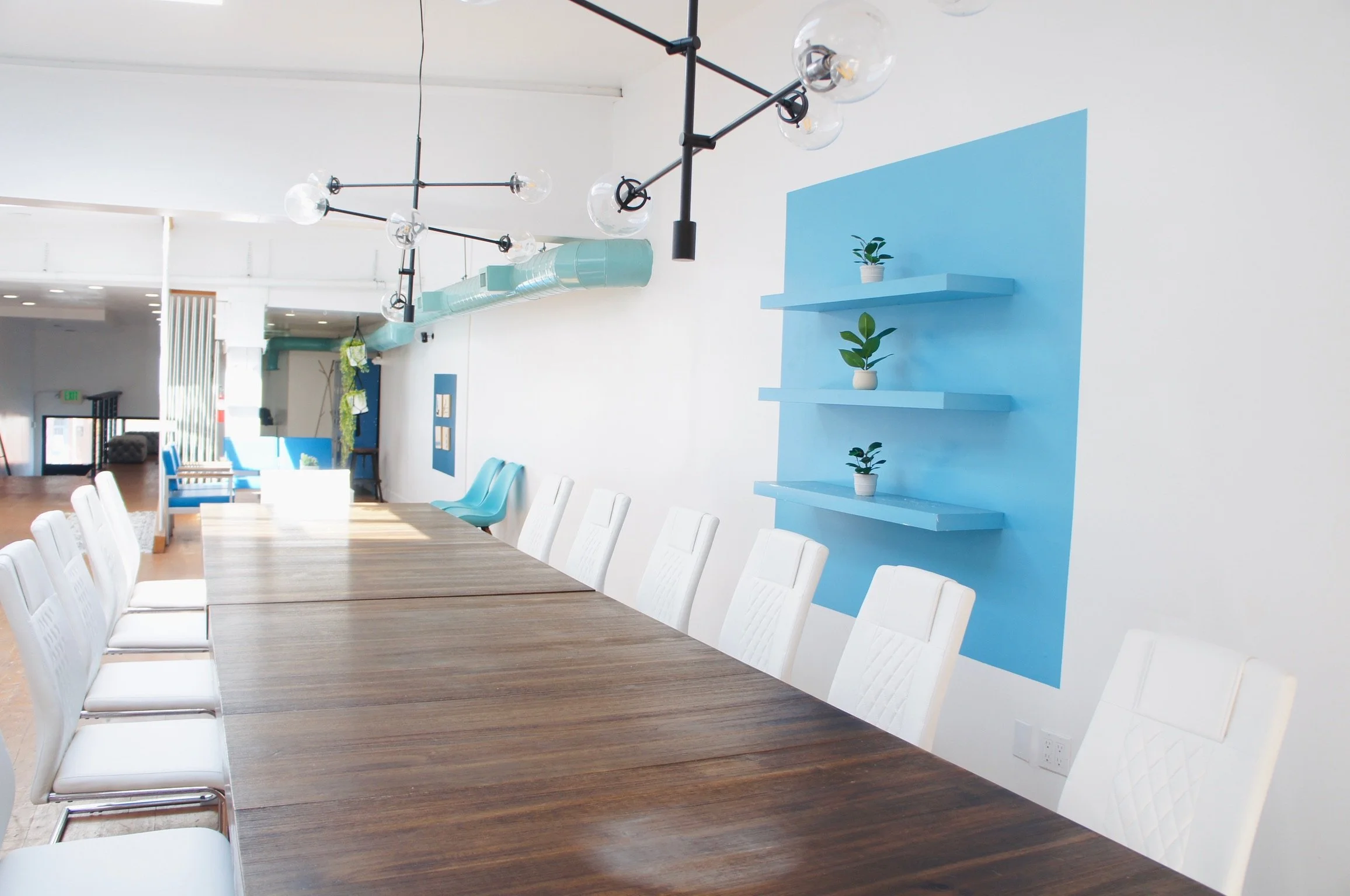 A modern conference room with a long wooden table surrounded by white chairs, blue chairs in the background, a blue accent wall with shelves holding small potted plants, and contemporary black lighting fixtures on the ceiling.