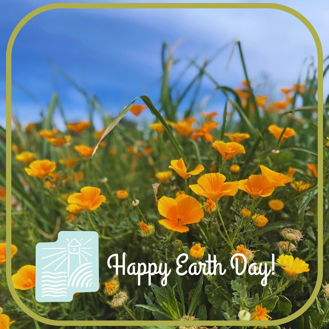 Hands in the dirt. 
Head in the sun. 
Heart with nature. 
To nurture a garden is to feed not just the body, but the soul.

Happy Earth Day from Lighthouse Charities!

We firmly believe in the transformative healing that comes from working in the gard