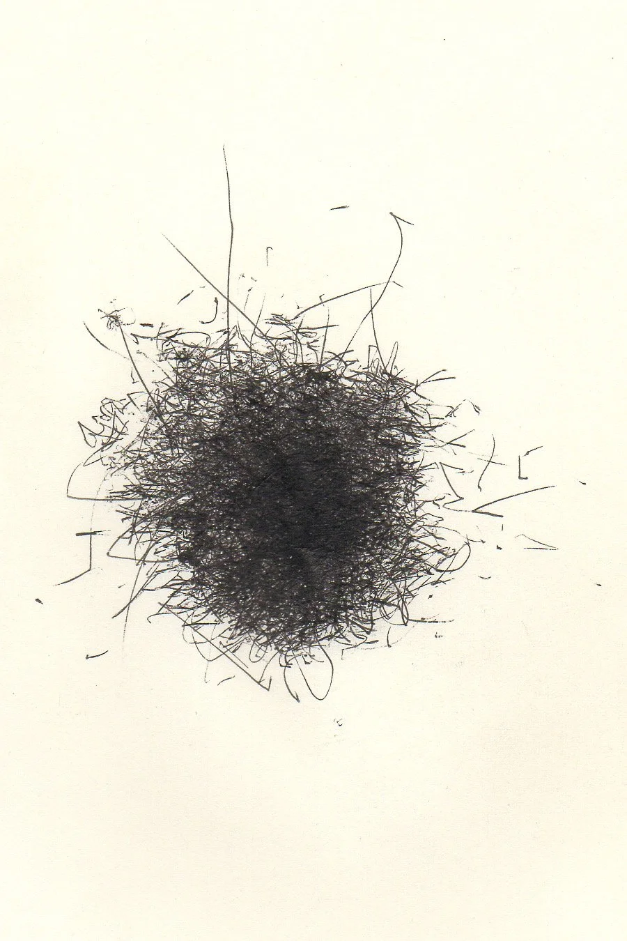 ngorongoro crater (coming). TZ. 062517.