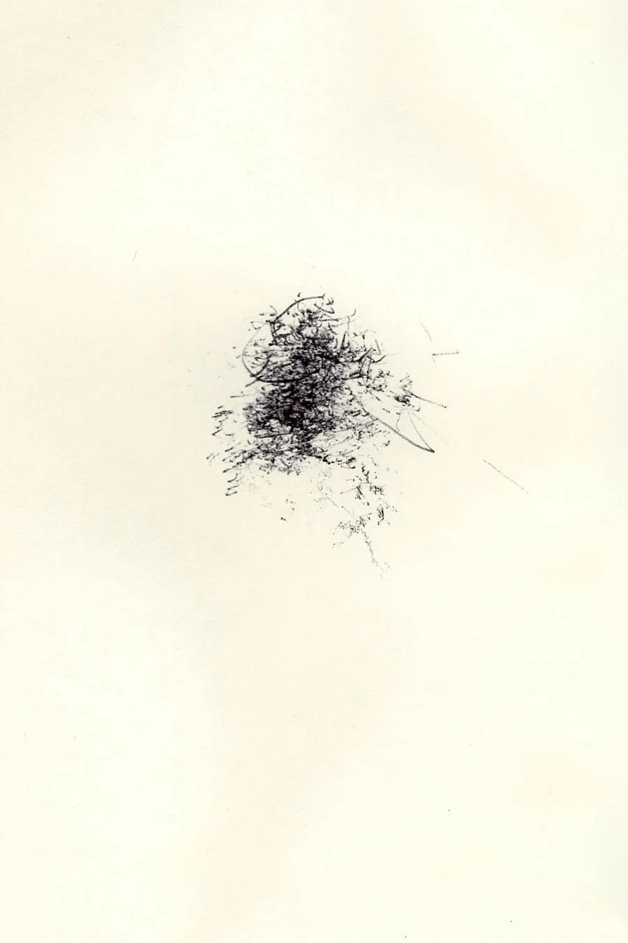 sucker creek. US. 060415.