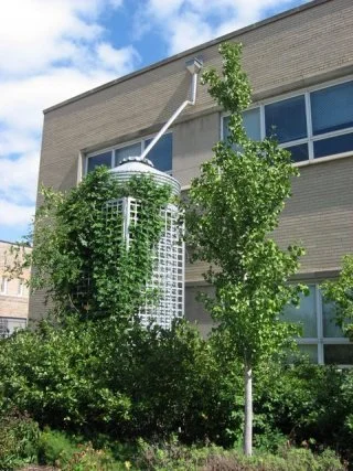gi_cistern_2.jpg
