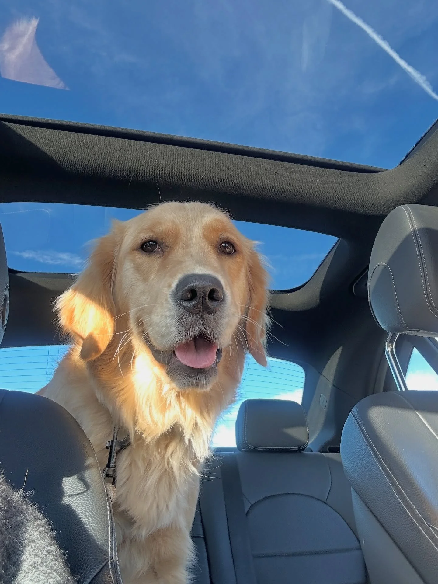 𝚙𝚛𝚘𝚘𝚏 𝚘𝚏 𝚕𝚒𝚏𝚎 👋🏽