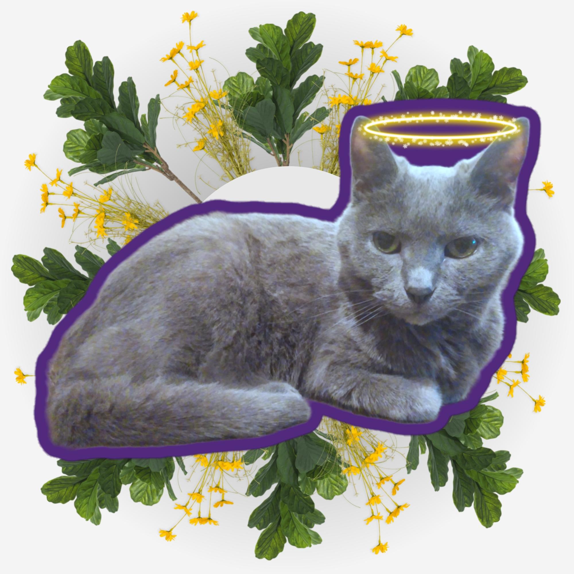 Sitting Pretty Zowie Ver.