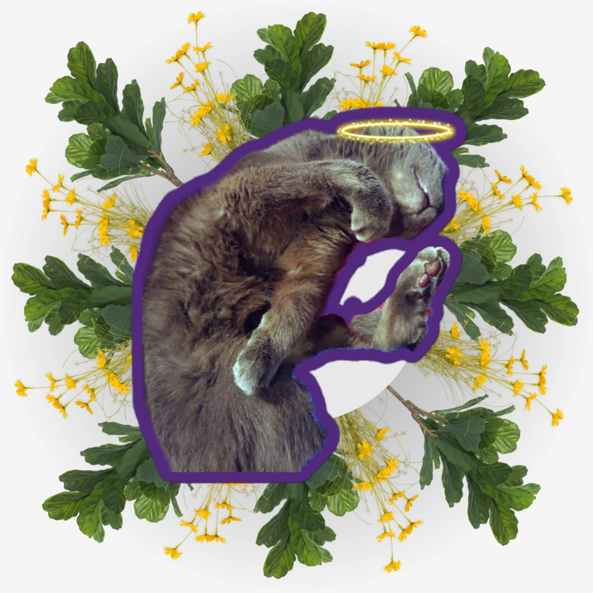 Sleeping Yoga Ver. 2