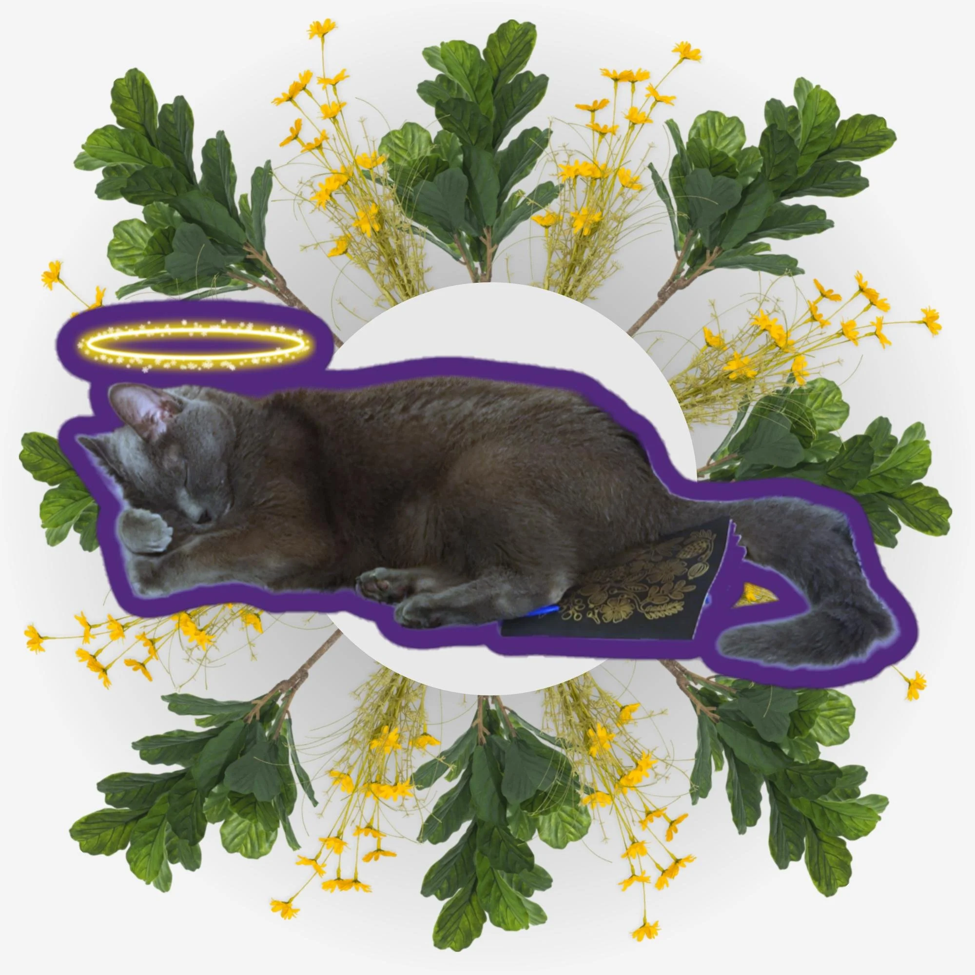 Sleeping Angel Ver. 2