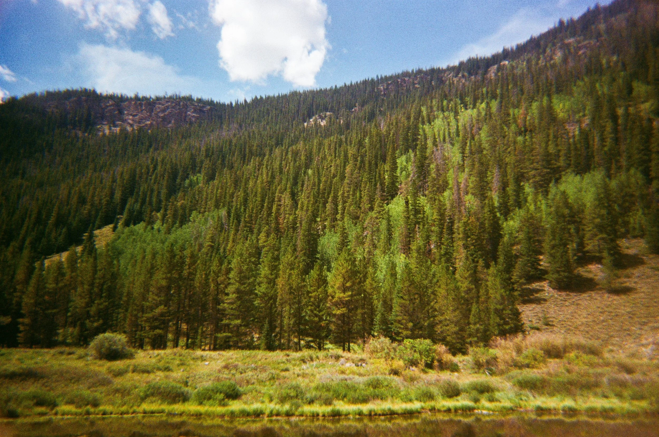 001175910003-4.jpg