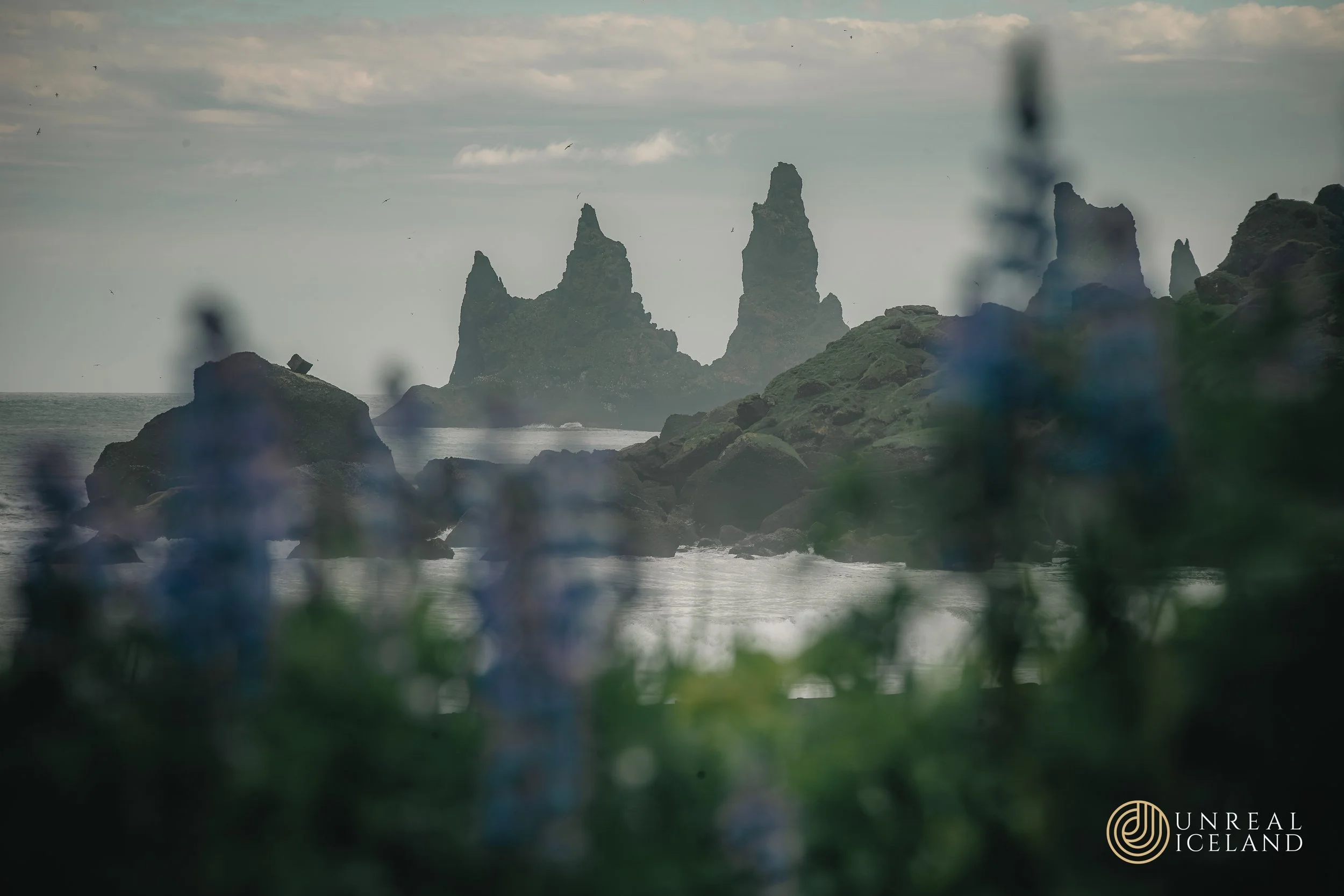 a black sand beach in vik, iceland