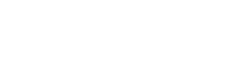 Executive Shine